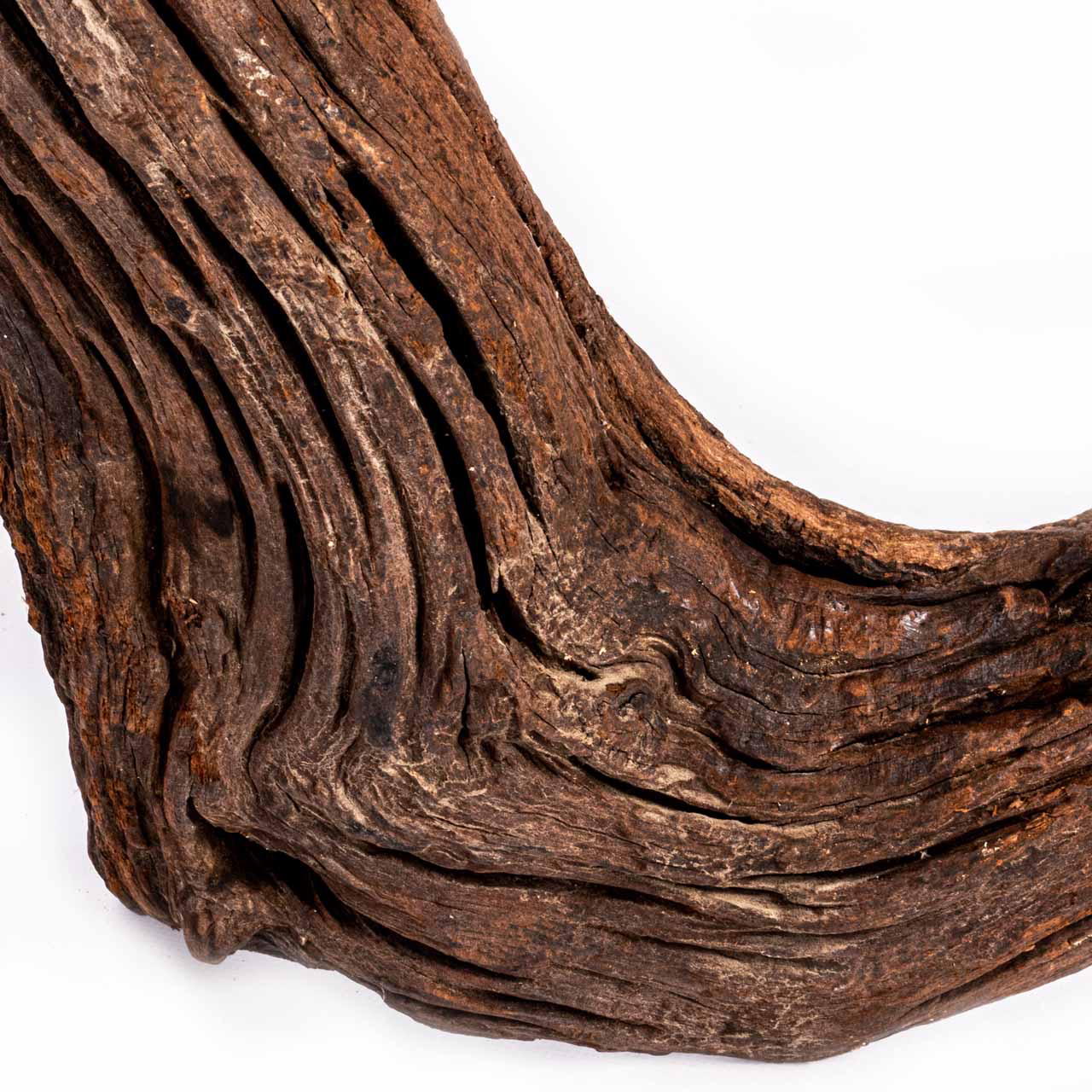 Коряга MASHA BLOOM "Железное дерево" затонувшая мангровая отборная 6001