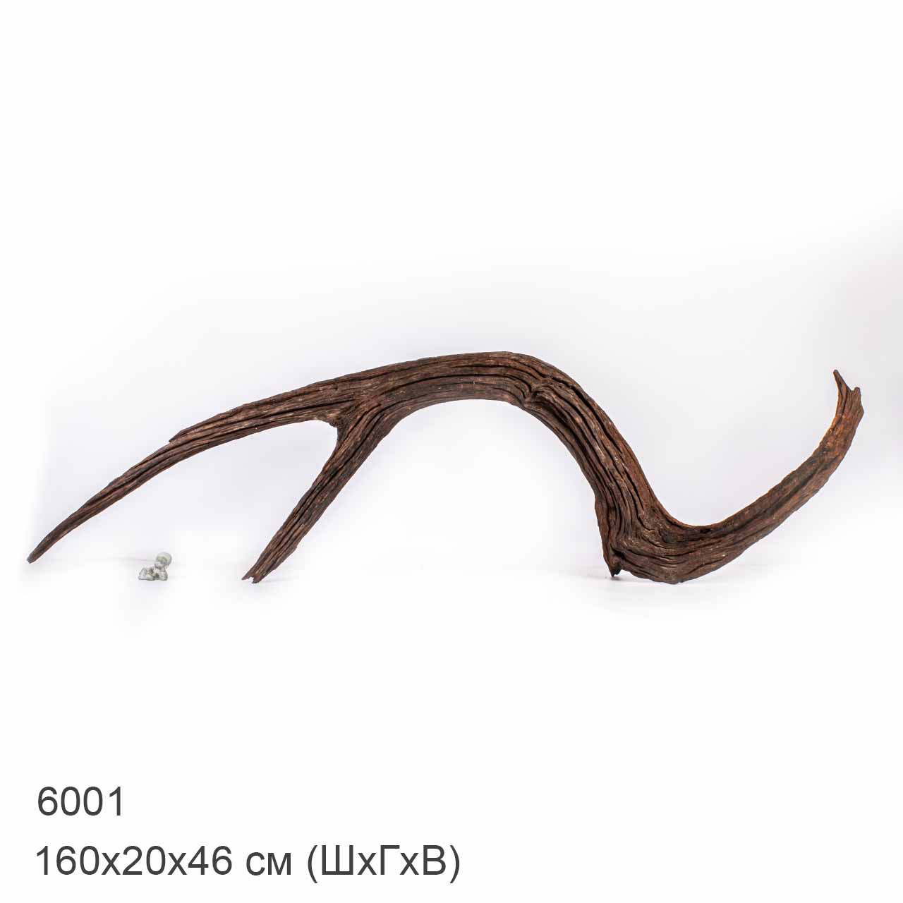 Коряга MASHA BLOOM "Железное дерево" затонувшая мангровая отборная 6001