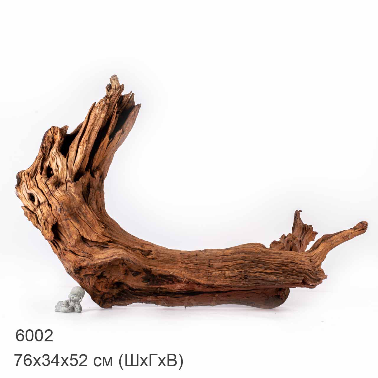 Коряга MASHA BLOOM "Железное дерево" затонувшая мангровая отборная 6002