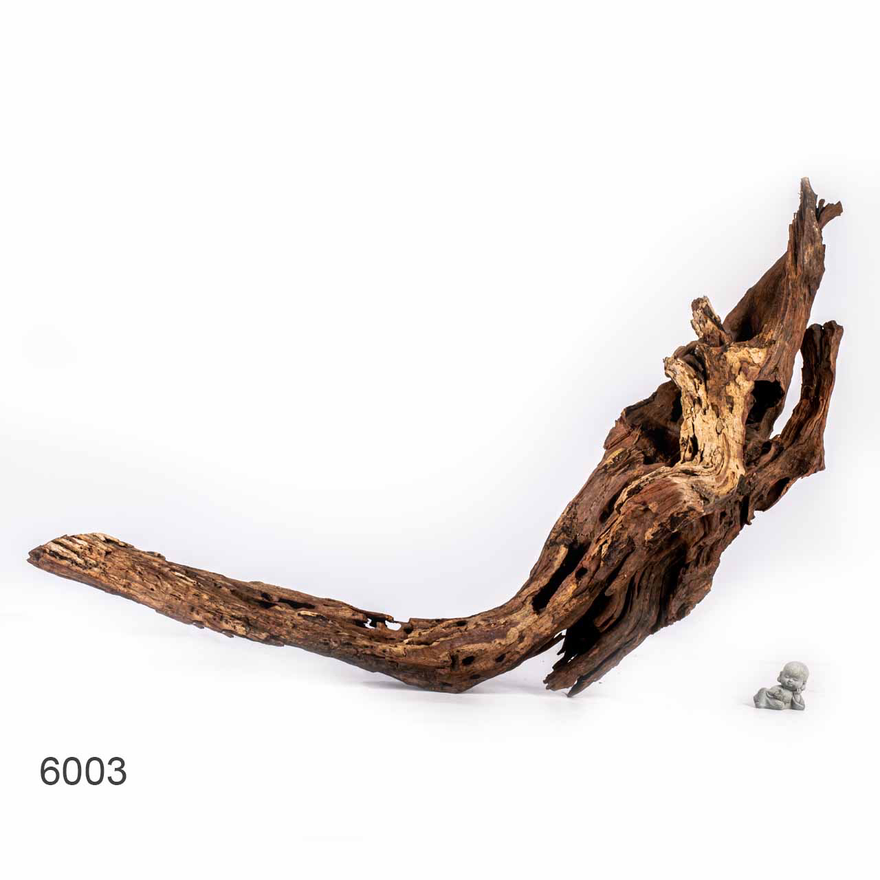 Коряга MASHA BLOOM "Железное дерево" затонувшая мангровая отборная 6003