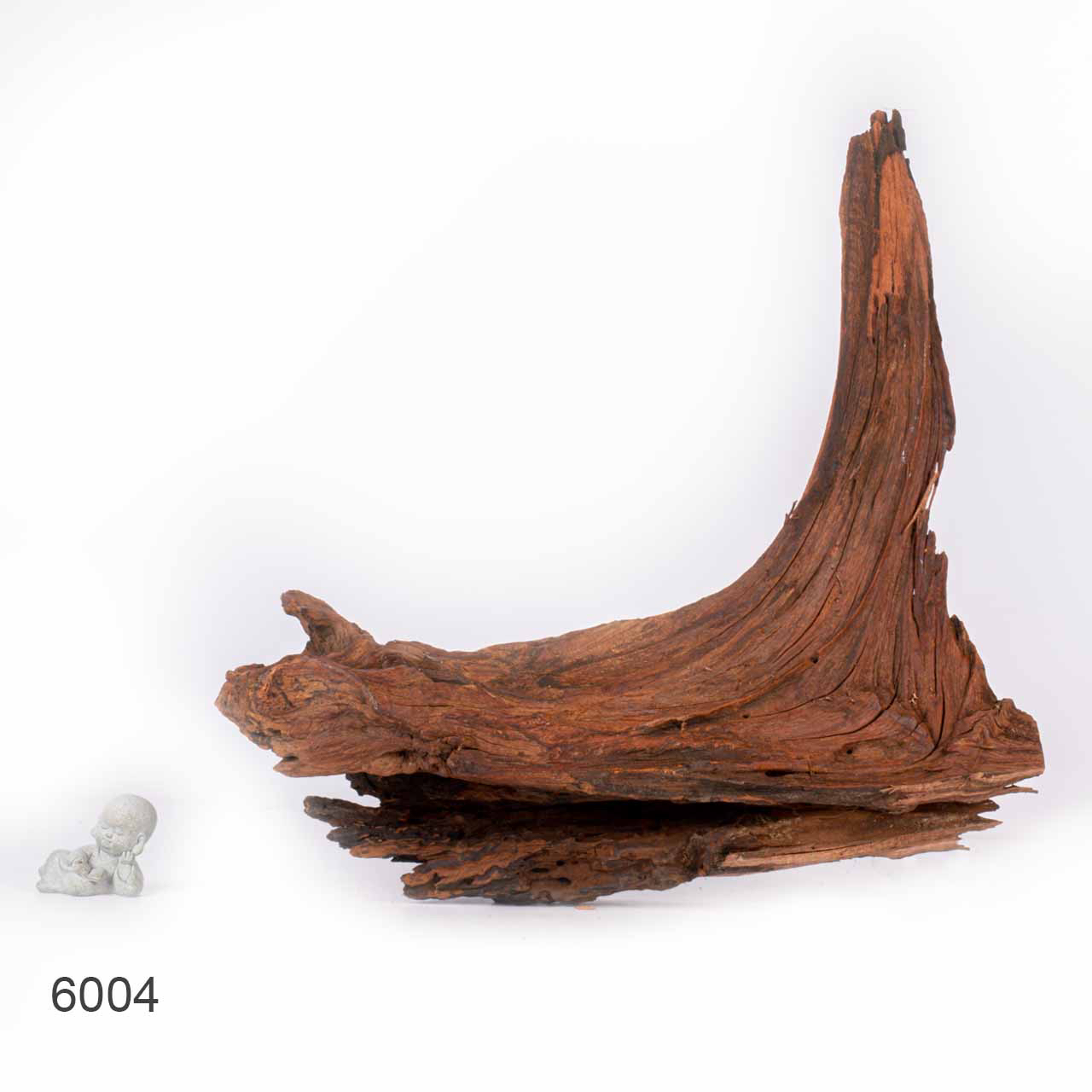 Коряга MASHA BLOOM "Железное дерево" затонувшая мангровая отборная 6004