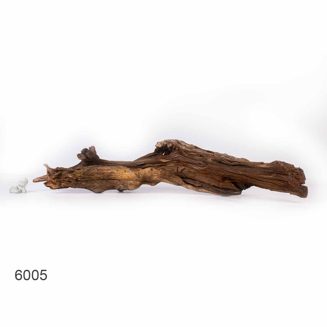 Коряга MASHA BLOOM "Железное дерево" затонувшая мангровая отборная 6005