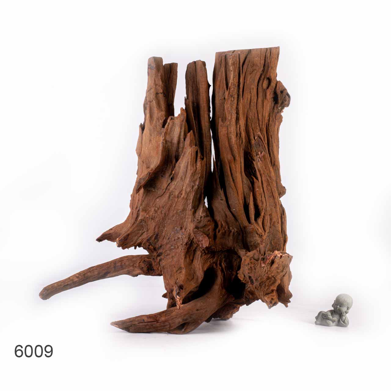 Коряга MASHA BLOOM "Железное дерево" затонувшая мангровая отборная 6009