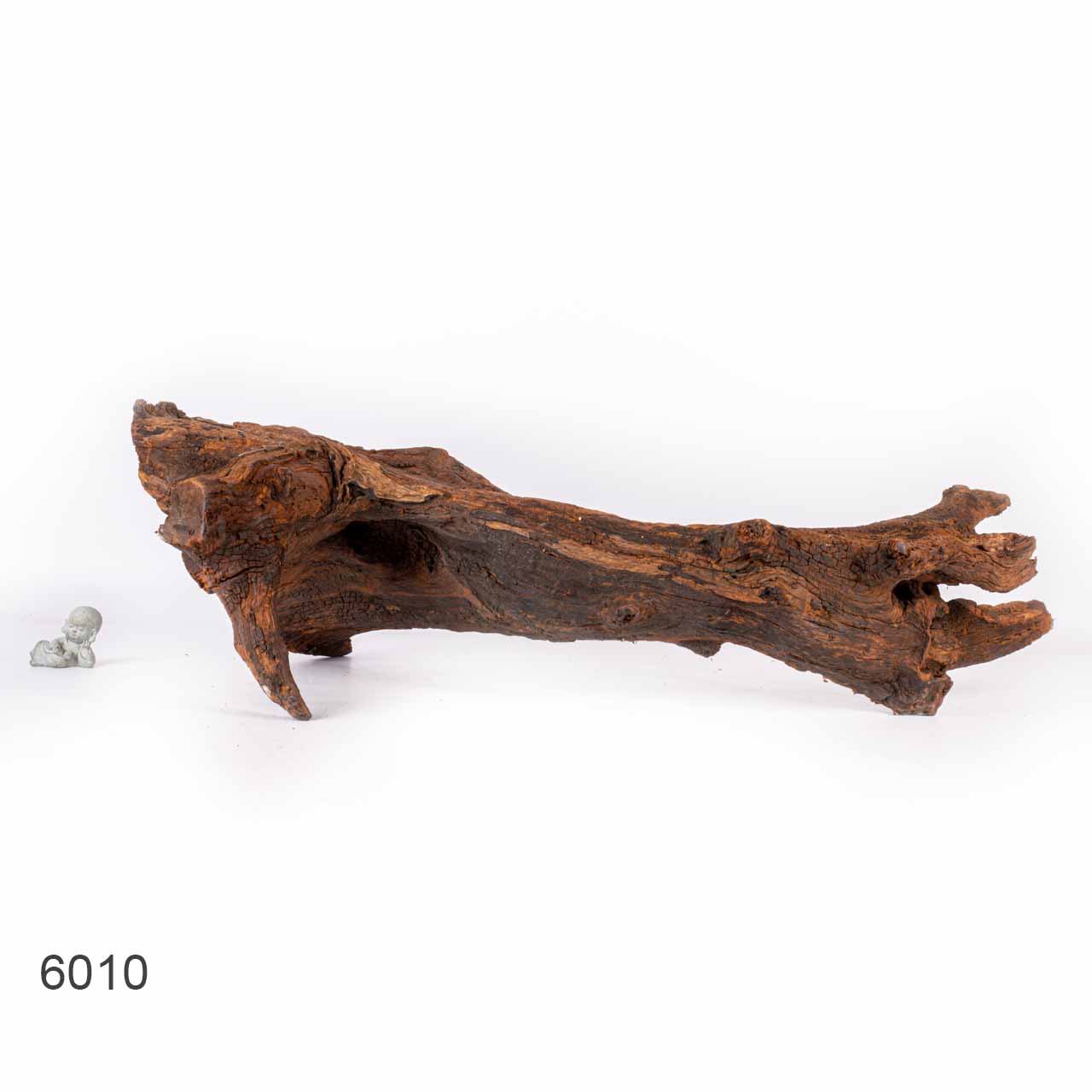 Коряга MASHA BLOOM "Железное дерево" затонувшая мангровая отборная 6010