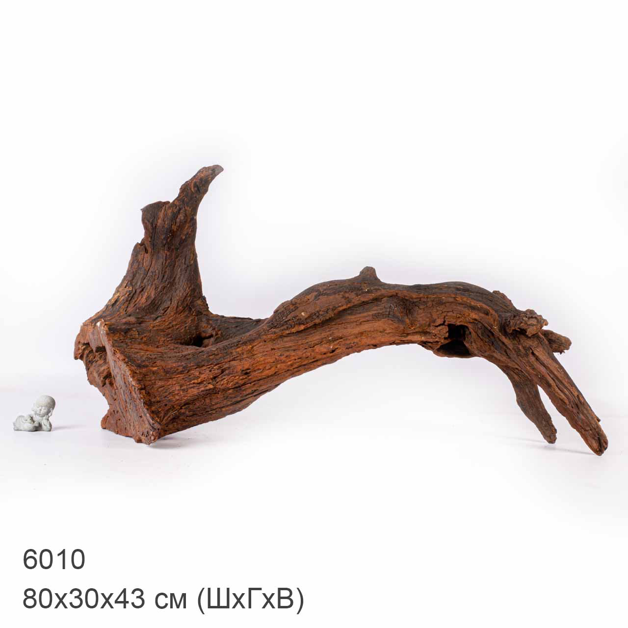 Коряга MASHA BLOOM "Железное дерево" затонувшая мангровая отборная 6010