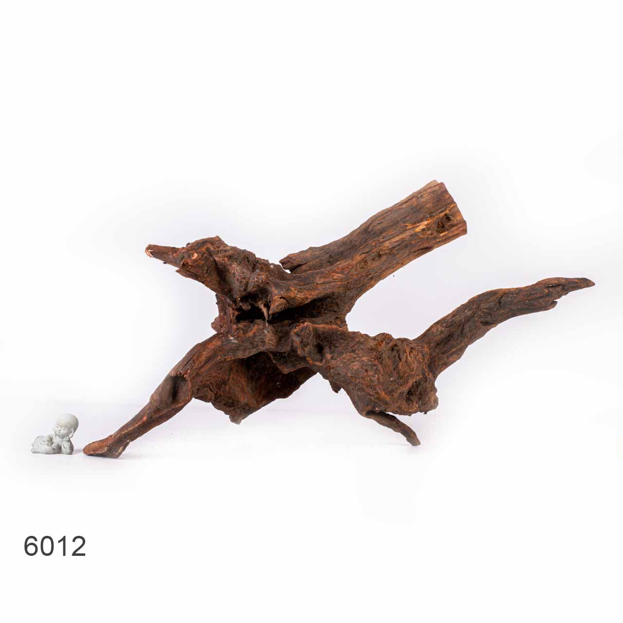 Коряга MASHA BLOOM "Железное дерево" затонувшая мангровая отборная 6012