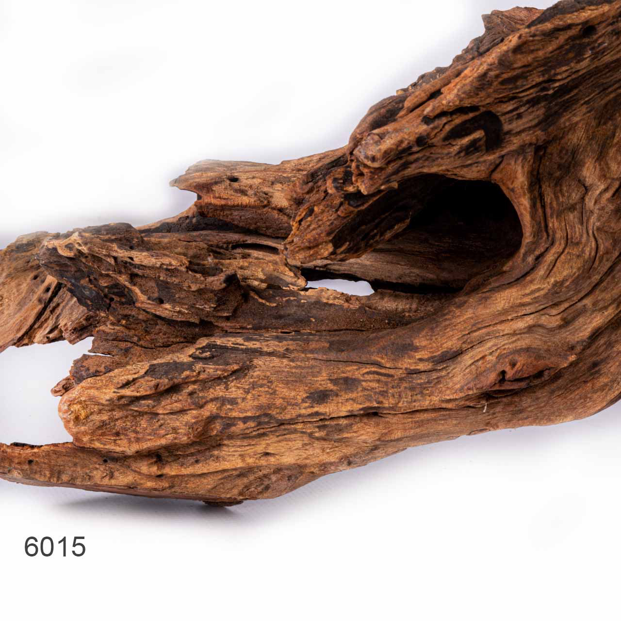 Коряга MASHA BLOOM "Железное дерево" затонувшая мангровая отборная 6015