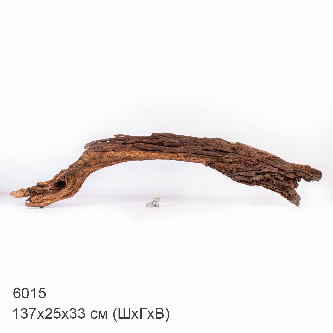 Коряга MASHA BLOOM "Железное дерево" затонувшая мангровая отборная 6015