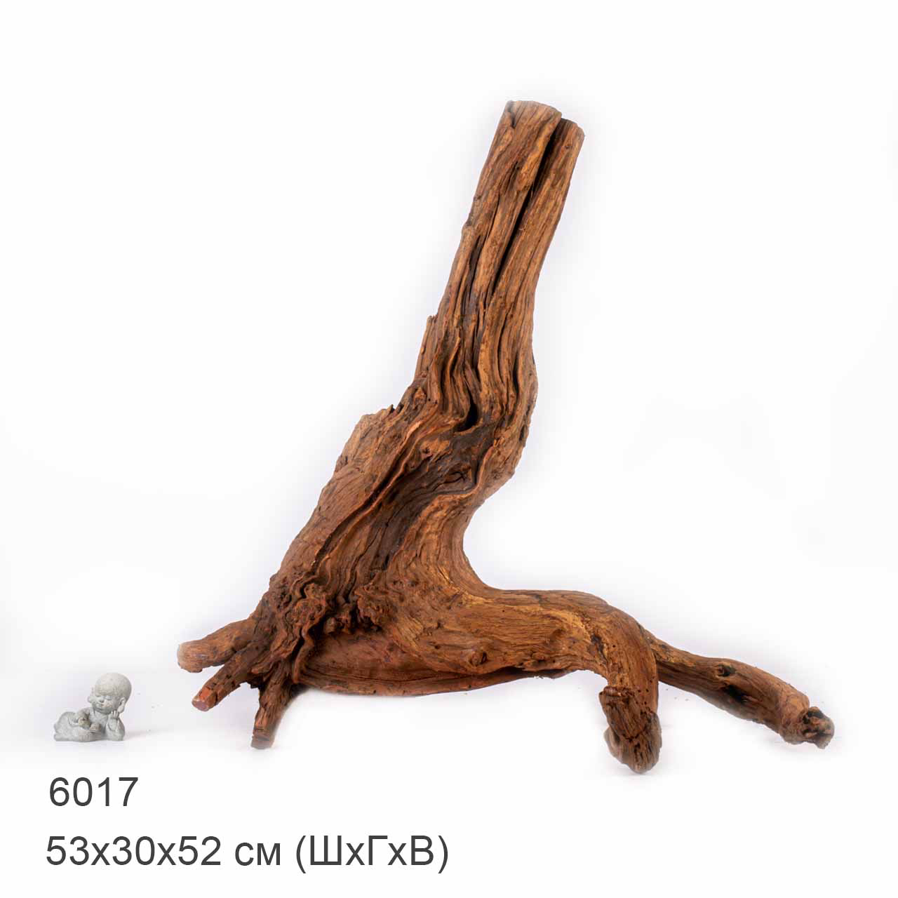 Коряга MASHA BLOOM "Железное дерево" затонувшая мангровая отборная 6017
