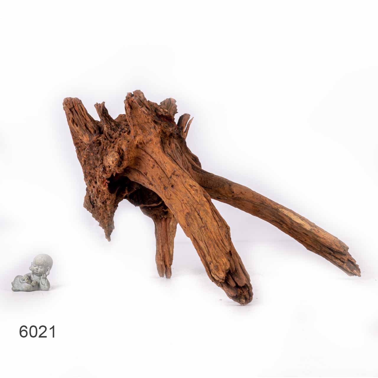 Коряга MASHA BLOOM "Железное дерево" затонувшая мангровая отборная 6021