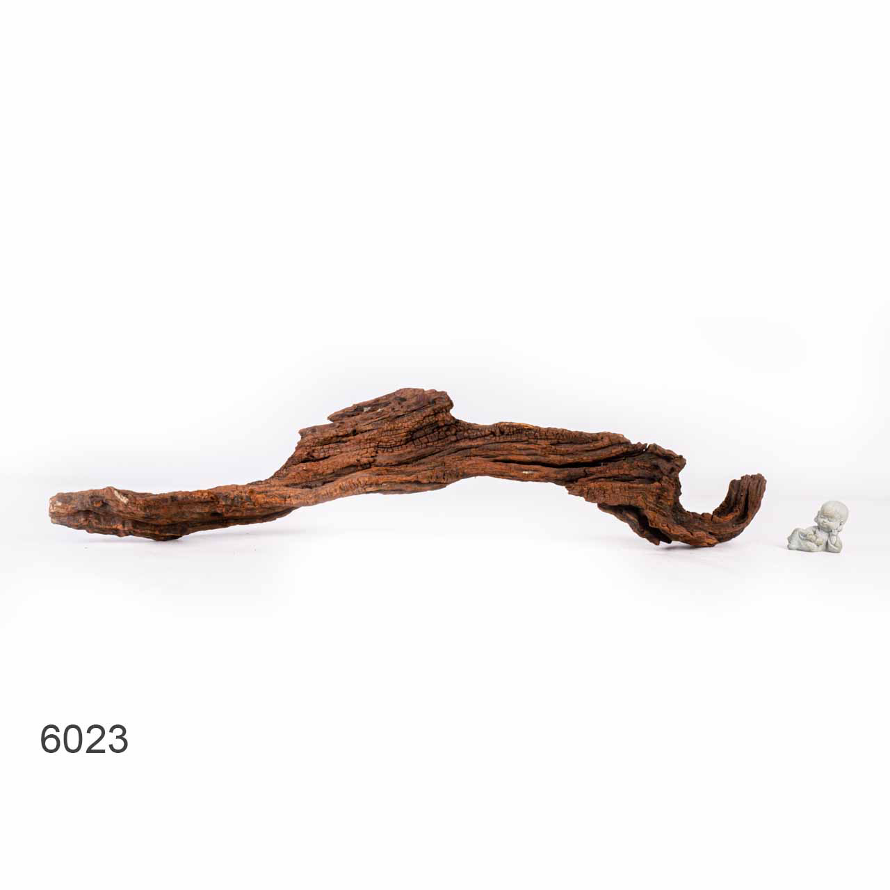 Коряга MASHA BLOOM "Железное дерево" затонувшая мангровая отборная 6023