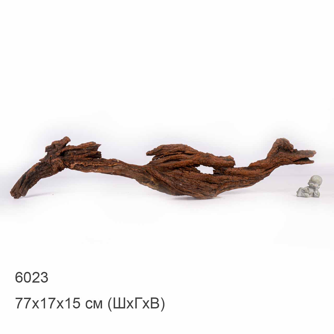 Коряга MASHA BLOOM "Железное дерево" затонувшая мангровая отборная 6023