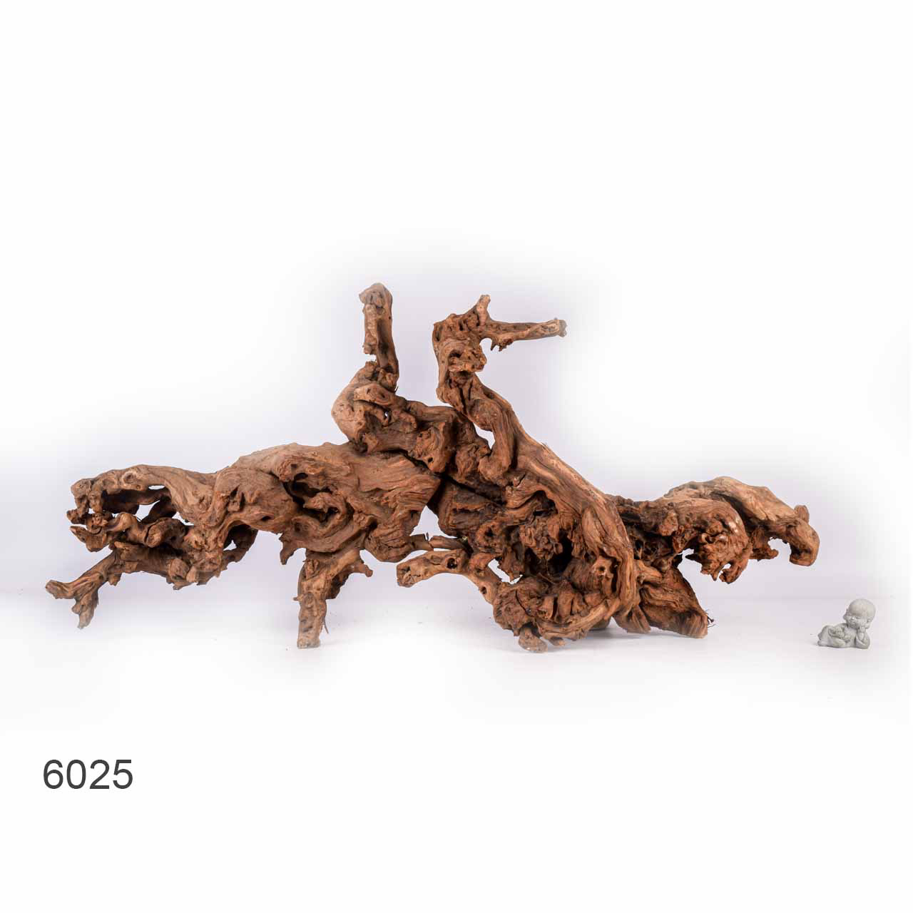 Коряга MASHA BLOOM "Железное дерево" затонувшая мангровая отборная 6025