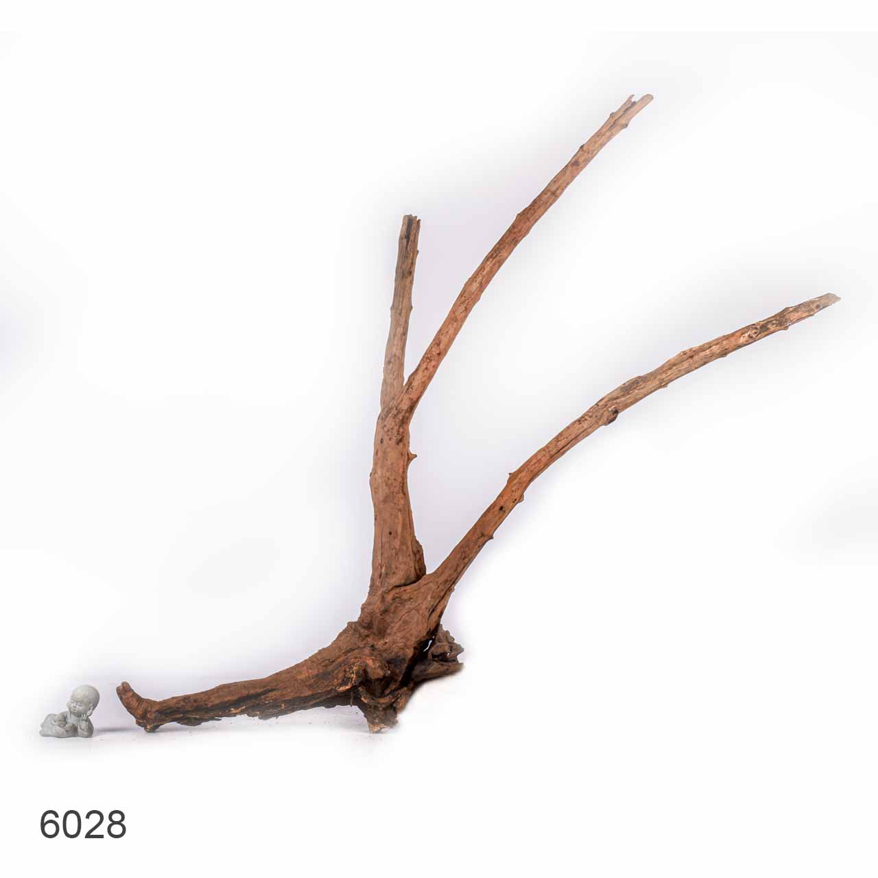 Коряга MASHA BLOOM "Железное дерево" затонувшая мангровая отборная 6028