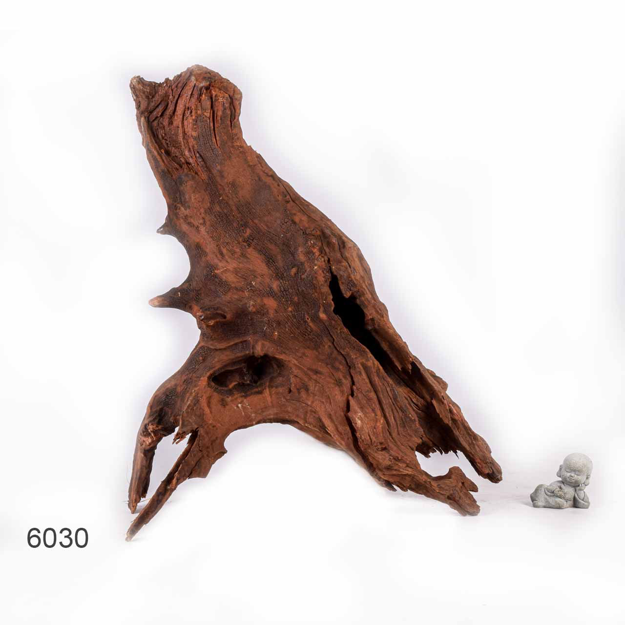 Коряга MASHA BLOOM "Железное дерево" затонувшая мангровая отборная 6030