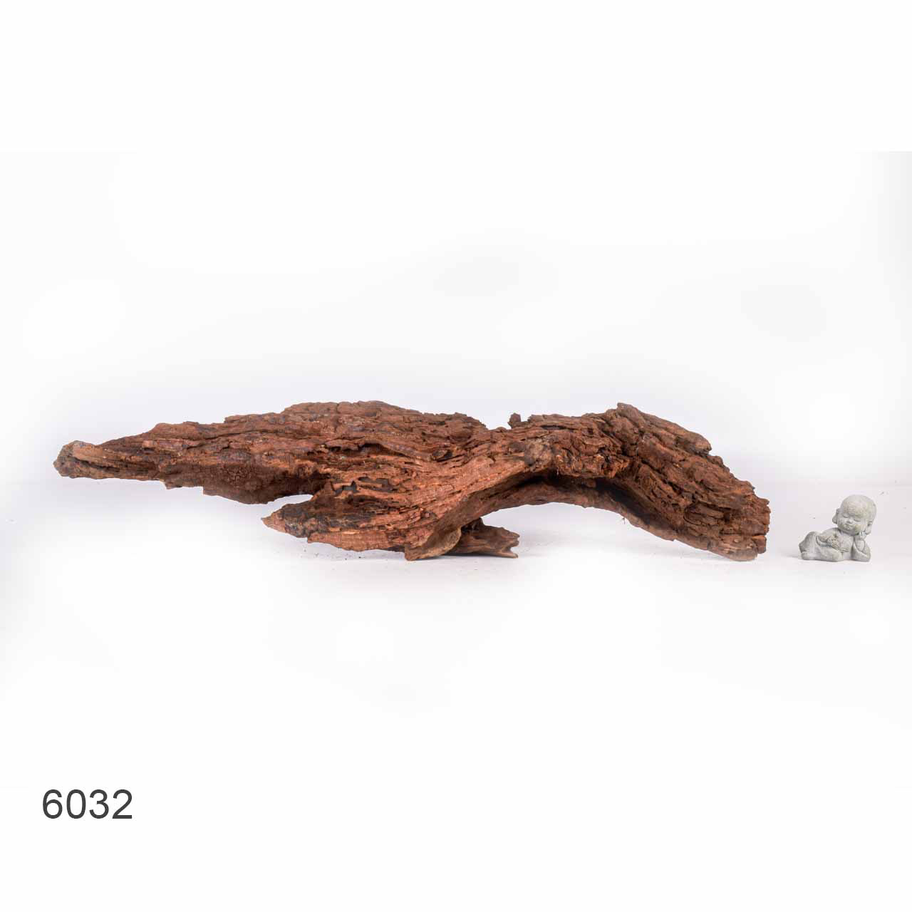 Коряга MASHA BLOOM "Железное дерево" затонувшая мангровая отборная 6032