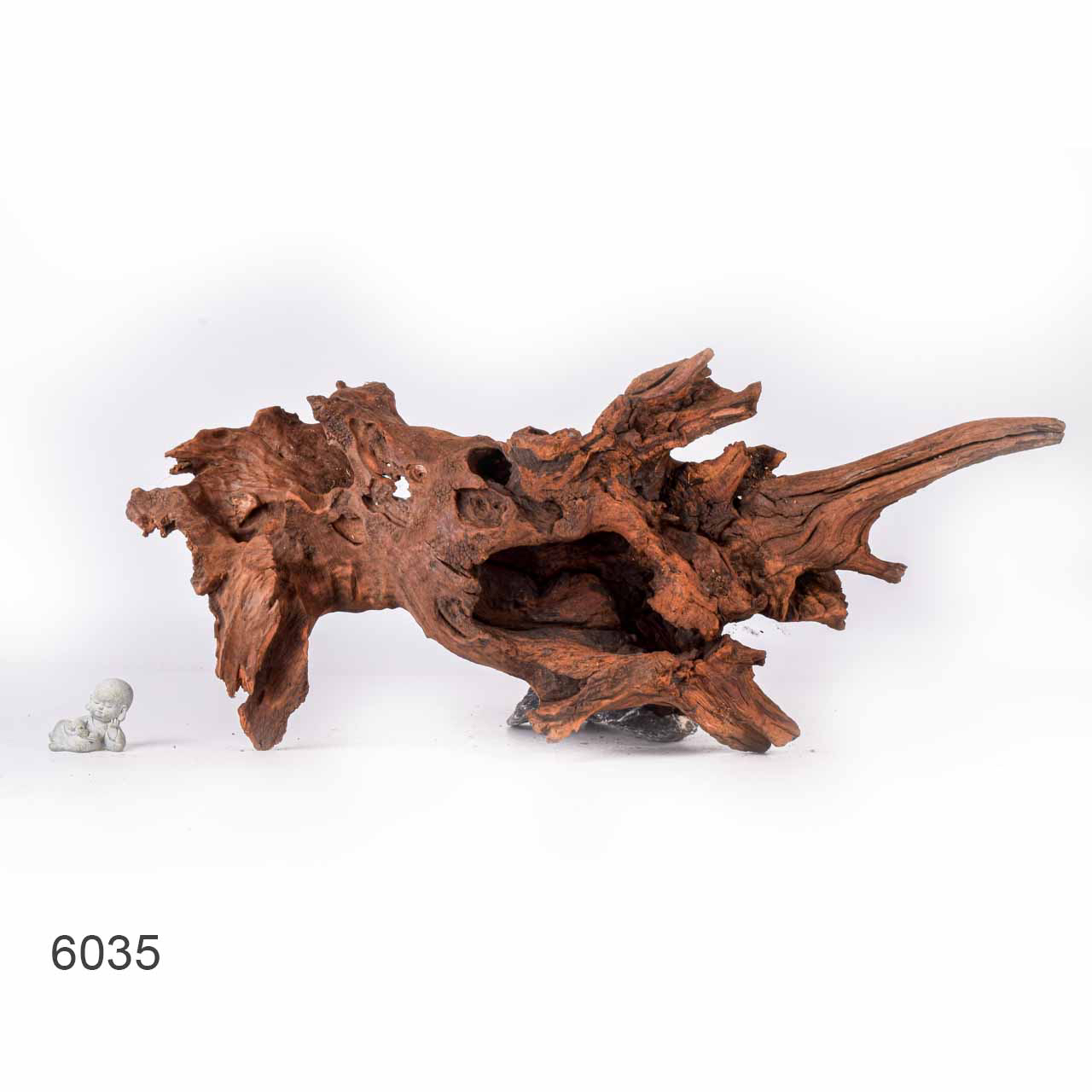 Коряга MASHA BLOOM "Железное дерево" затонувшая мангровая отборная 6035