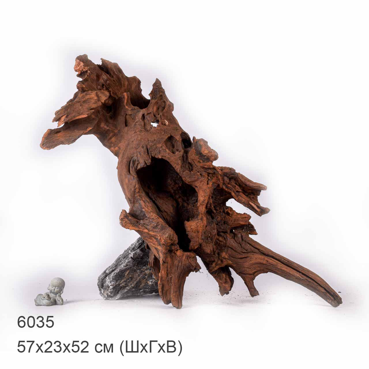 Коряга MASHA BLOOM "Железное дерево" затонувшая мангровая отборная 6035