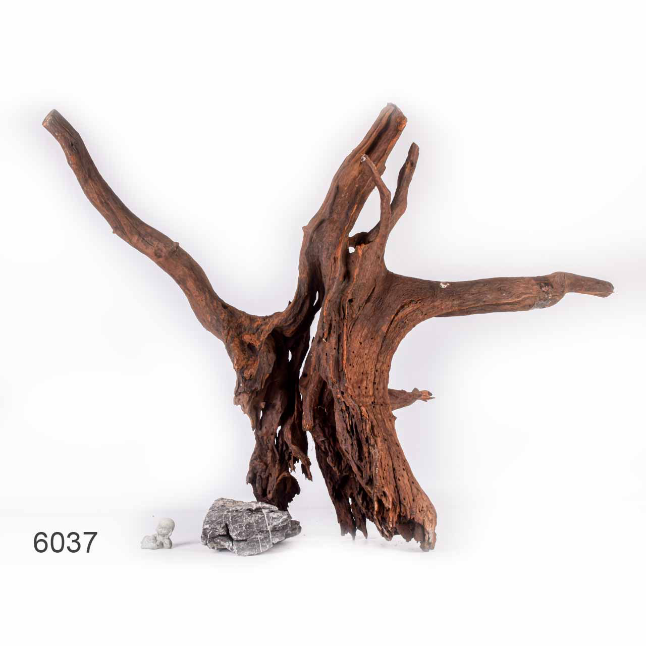 Коряга MASHA BLOOM "Железное дерево" затонувшая мангровая отборная 6037