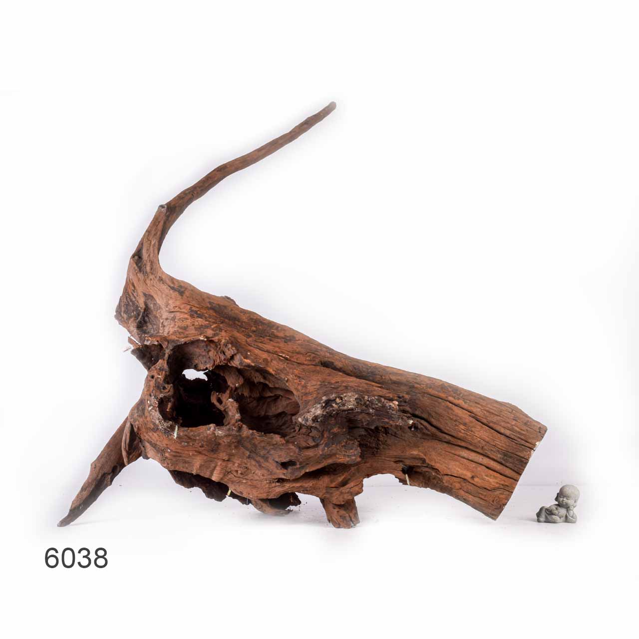 Коряга MASHA BLOOM "Железное дерево" затонувшая мангровая отборная 6038