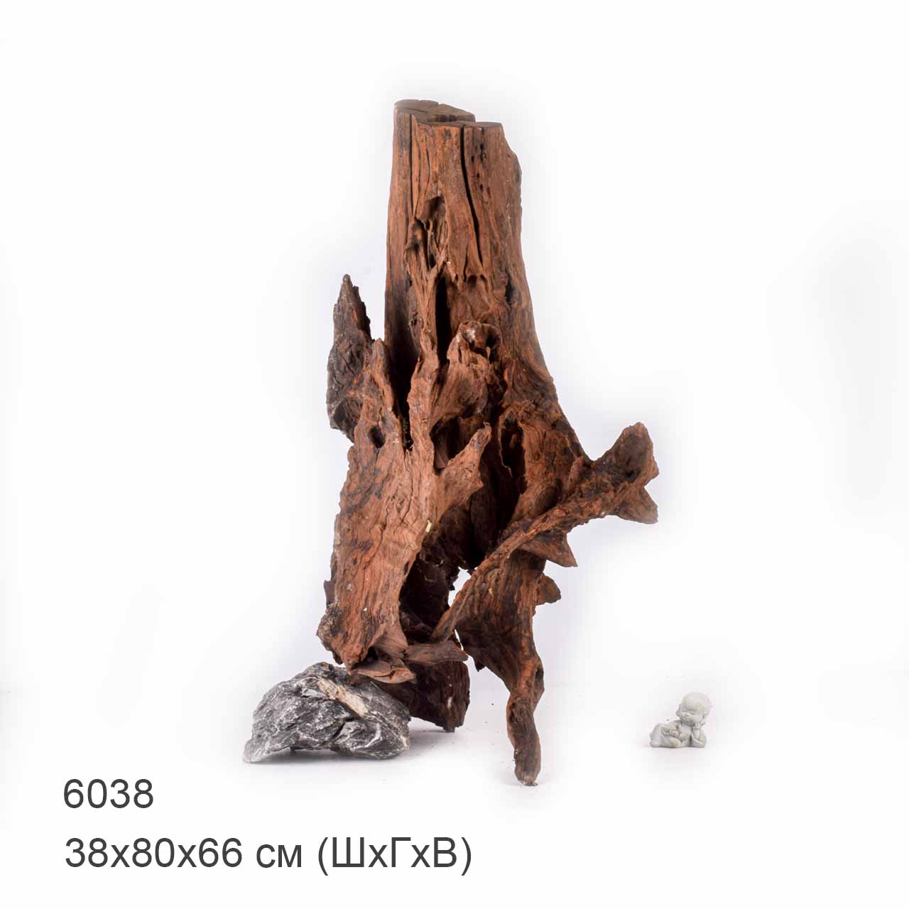 Коряга MASHA BLOOM "Железное дерево" затонувшая мангровая отборная 6038