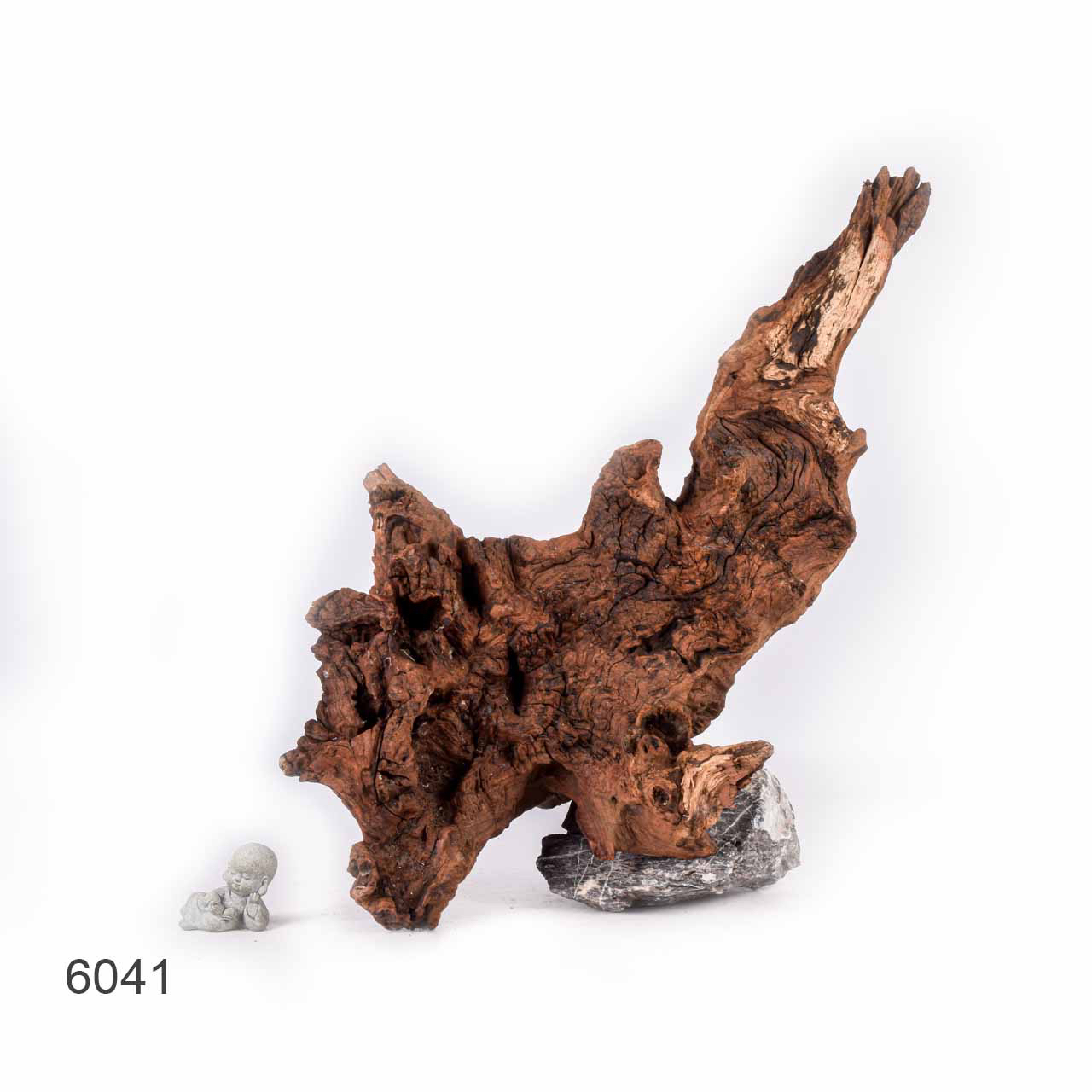 Коряга MASHA BLOOM "Железное дерево" затонувшая мангровая отборная 6041