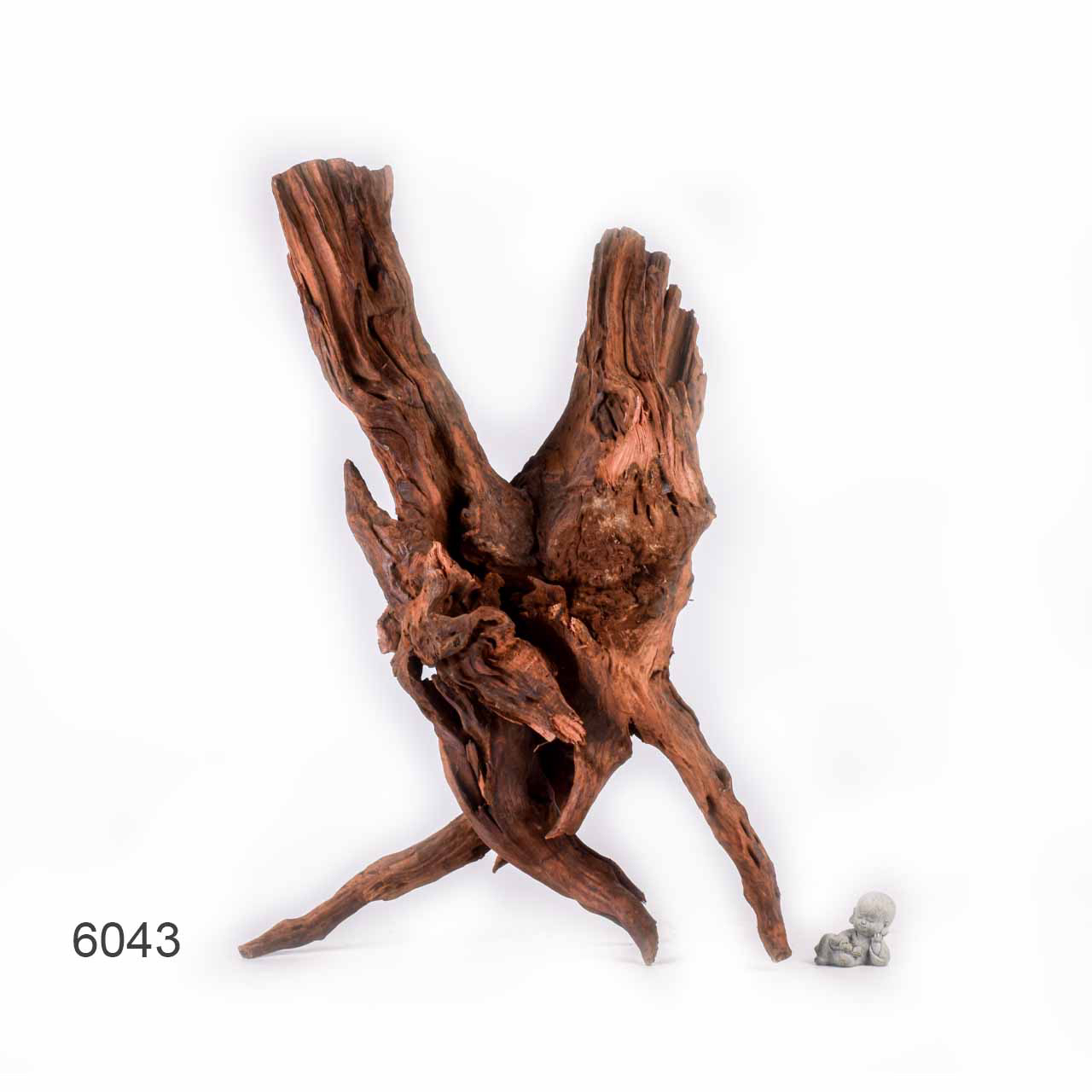 Коряга MASHA BLOOM "Железное дерево" затонувшая мангровая отборная 6043