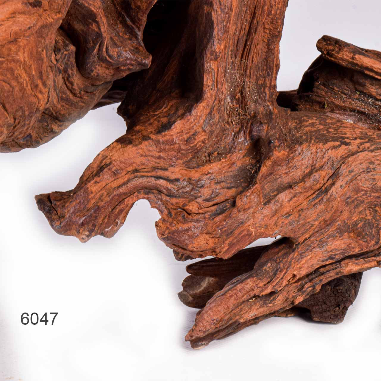 Коряга MASHA BLOOM "Железное дерево" затонувшая мангровая отборная 6047