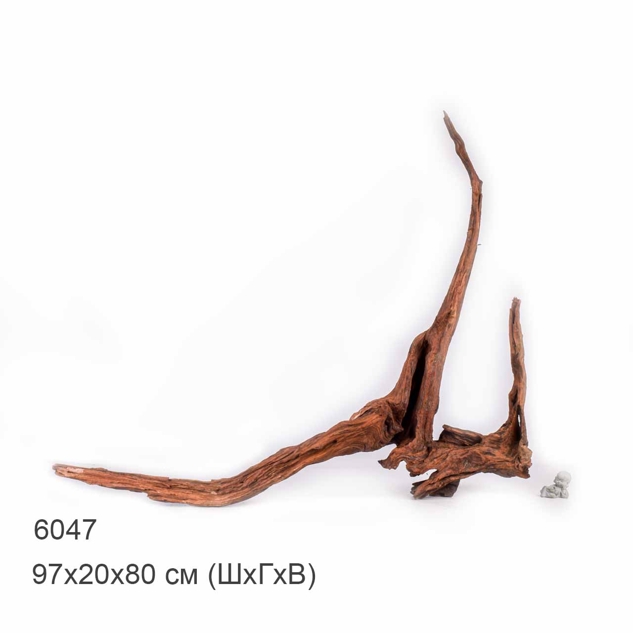 Коряга MASHA BLOOM "Железное дерево" затонувшая мангровая отборная 6047