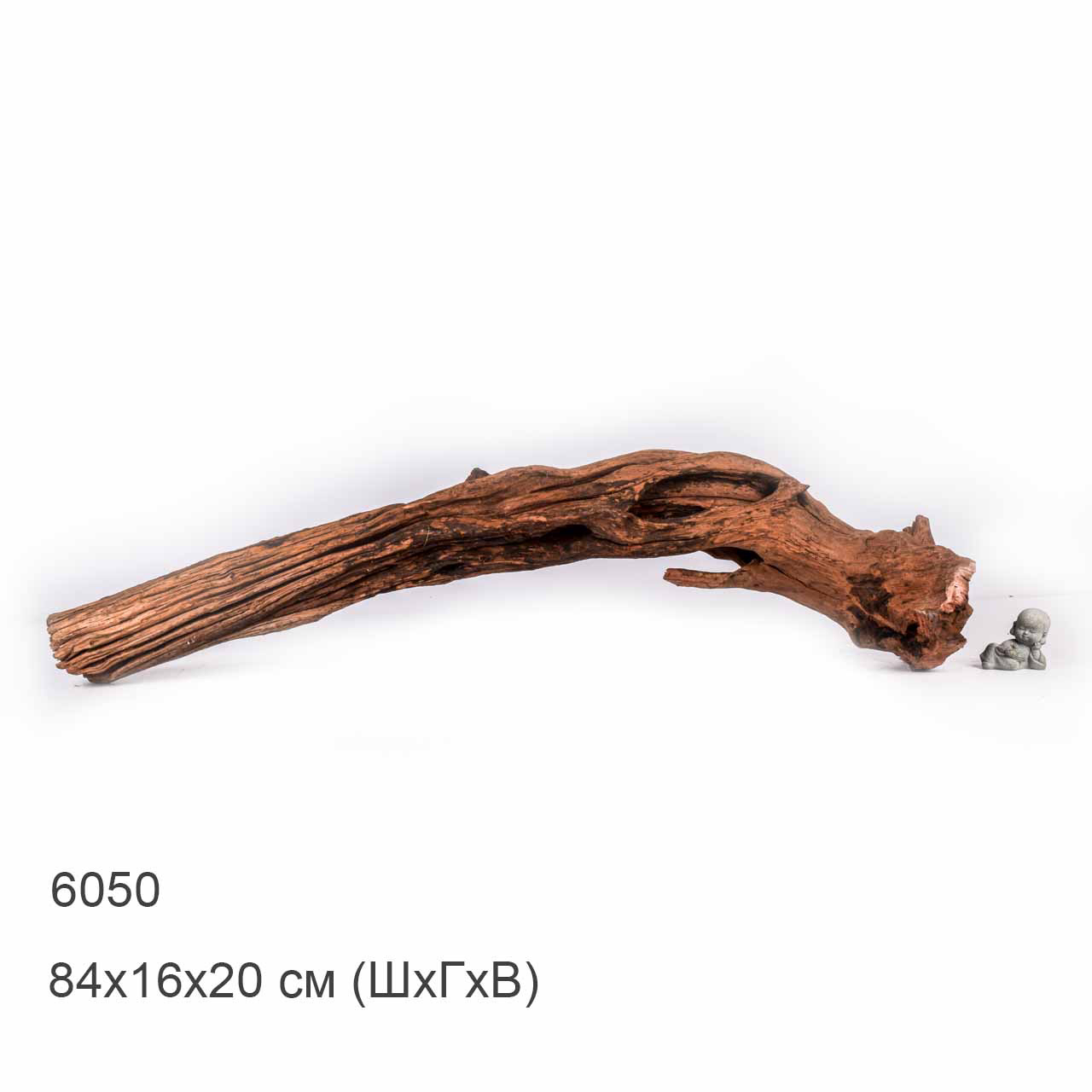 Коряга MASHA BLOOM "Железное дерево" затонувшая мангровая отборная 6050