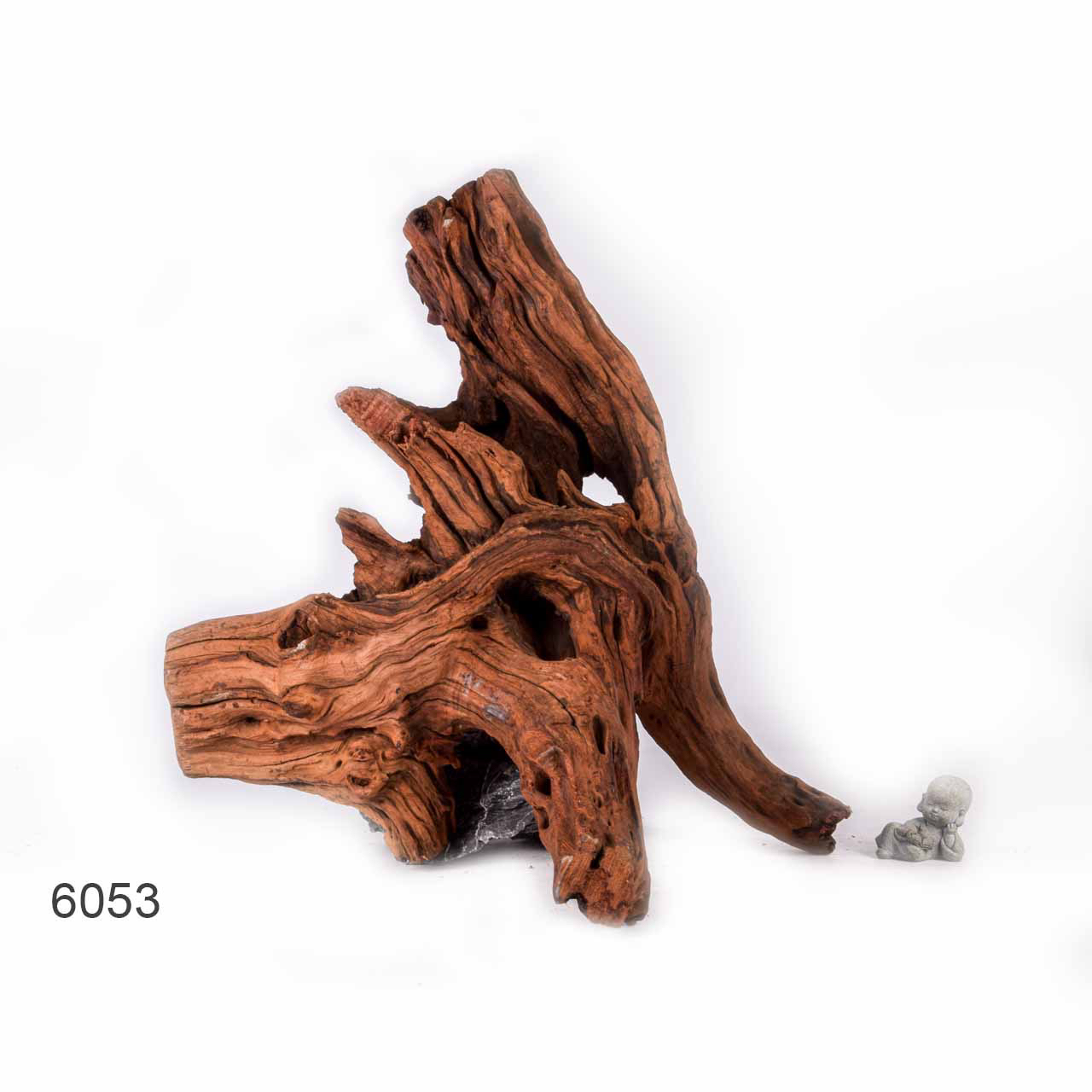 Коряга MASHA BLOOM "Железное дерево" затонувшая мангровая отборная 6053