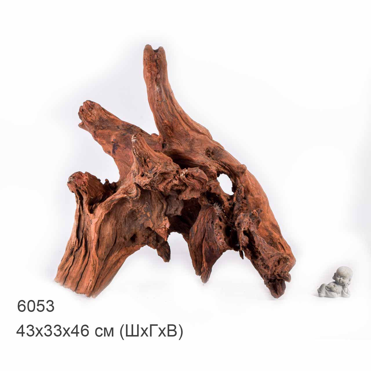 Коряга MASHA BLOOM "Железное дерево" затонувшая мангровая отборная 6053