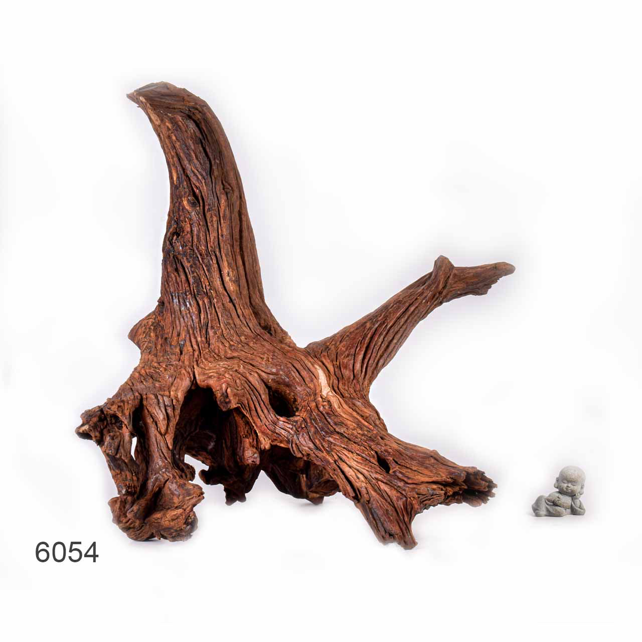 Коряга MASHA BLOOM "Железное дерево" затонувшая мангровая отборная 6054