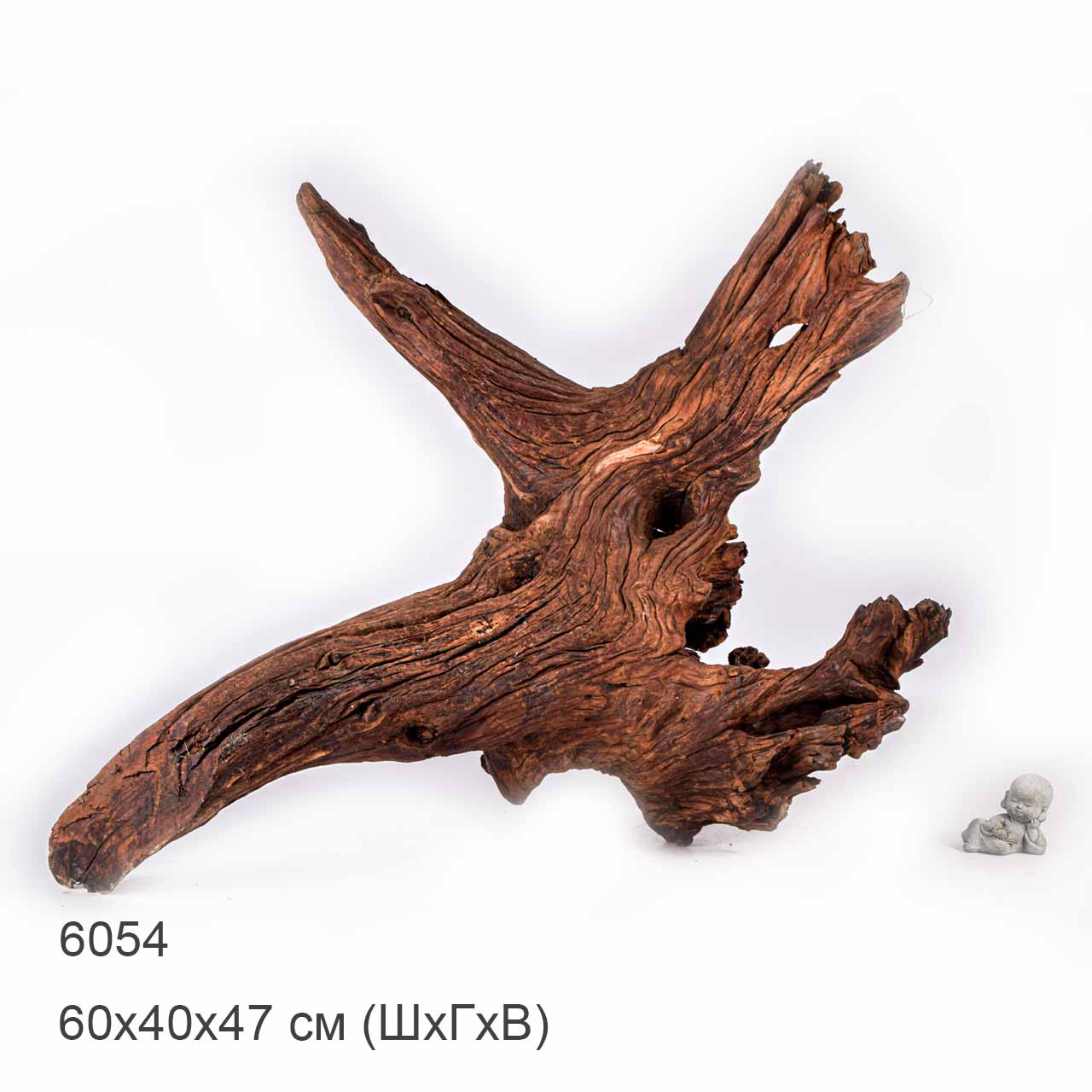 Коряга MASHA BLOOM "Железное дерево" затонувшая мангровая отборная 6054