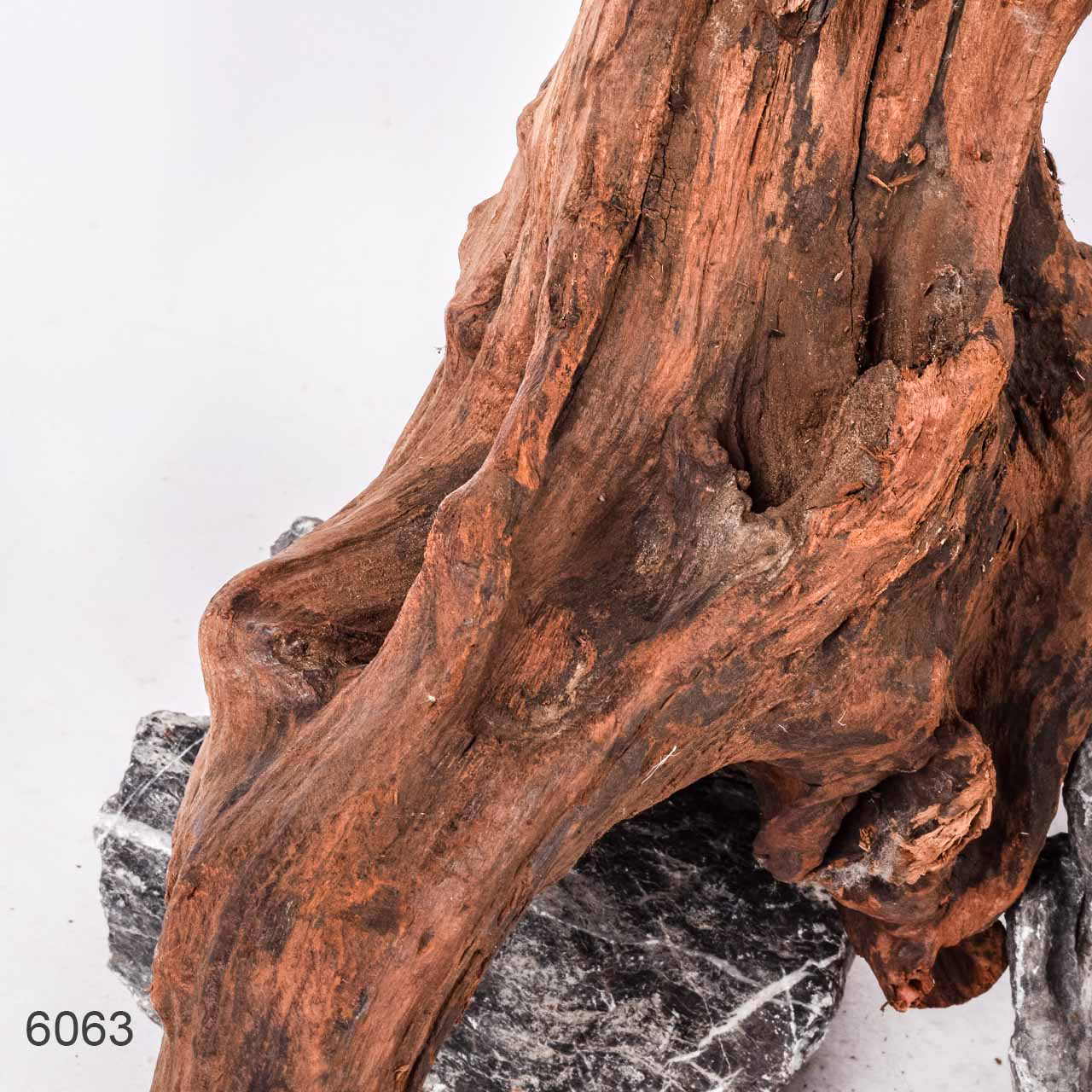 Коряга MASHA BLOOM "Железное дерево" затонувшая мангровая отборная 6063