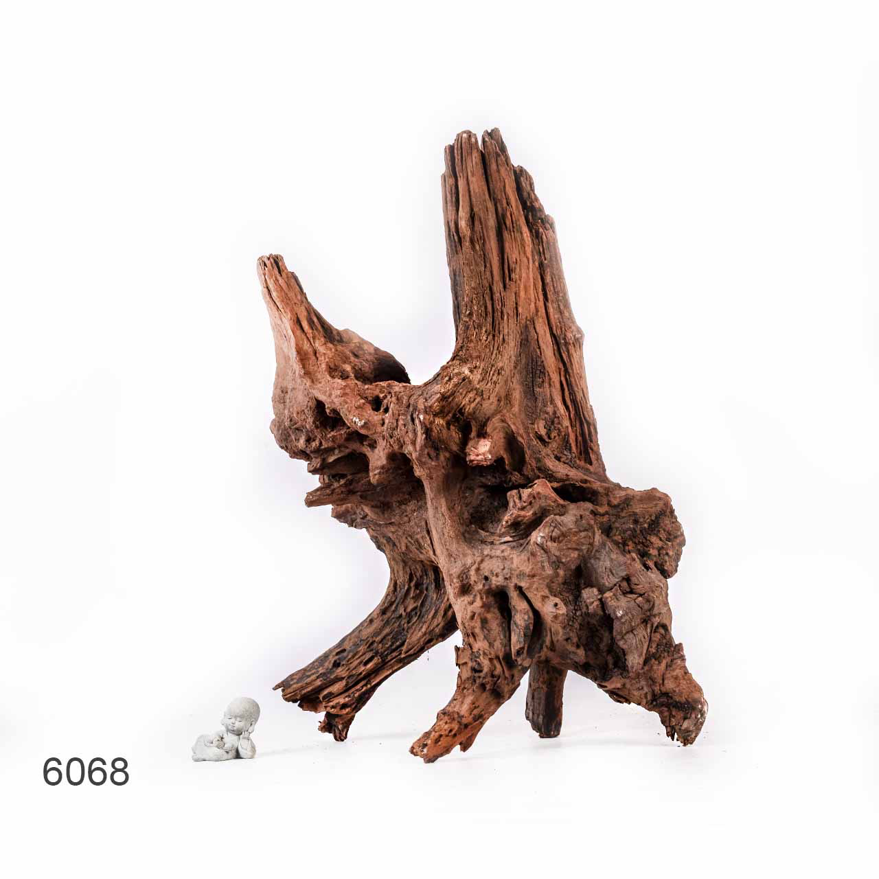 Коряга MASHA BLOOM "Железное дерево" затонувшая мангровая отборная 6068