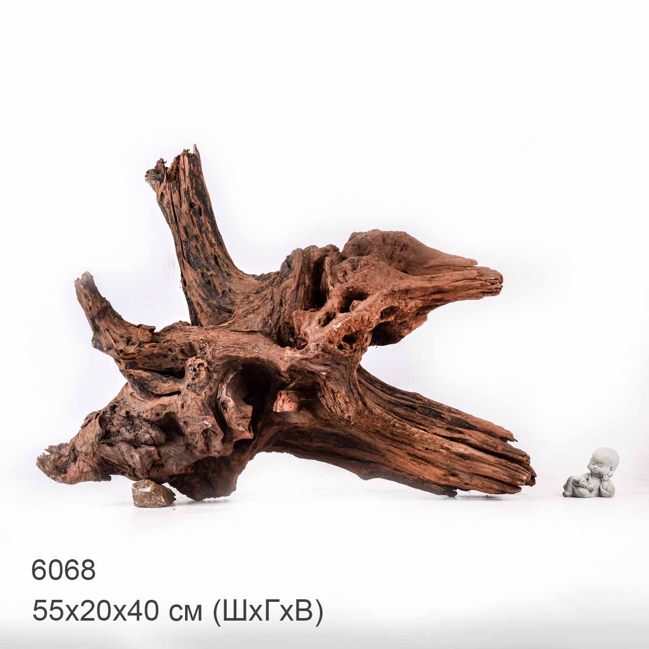 Коряга MASHA BLOOM "Железное дерево" затонувшая мангровая отборная 6068