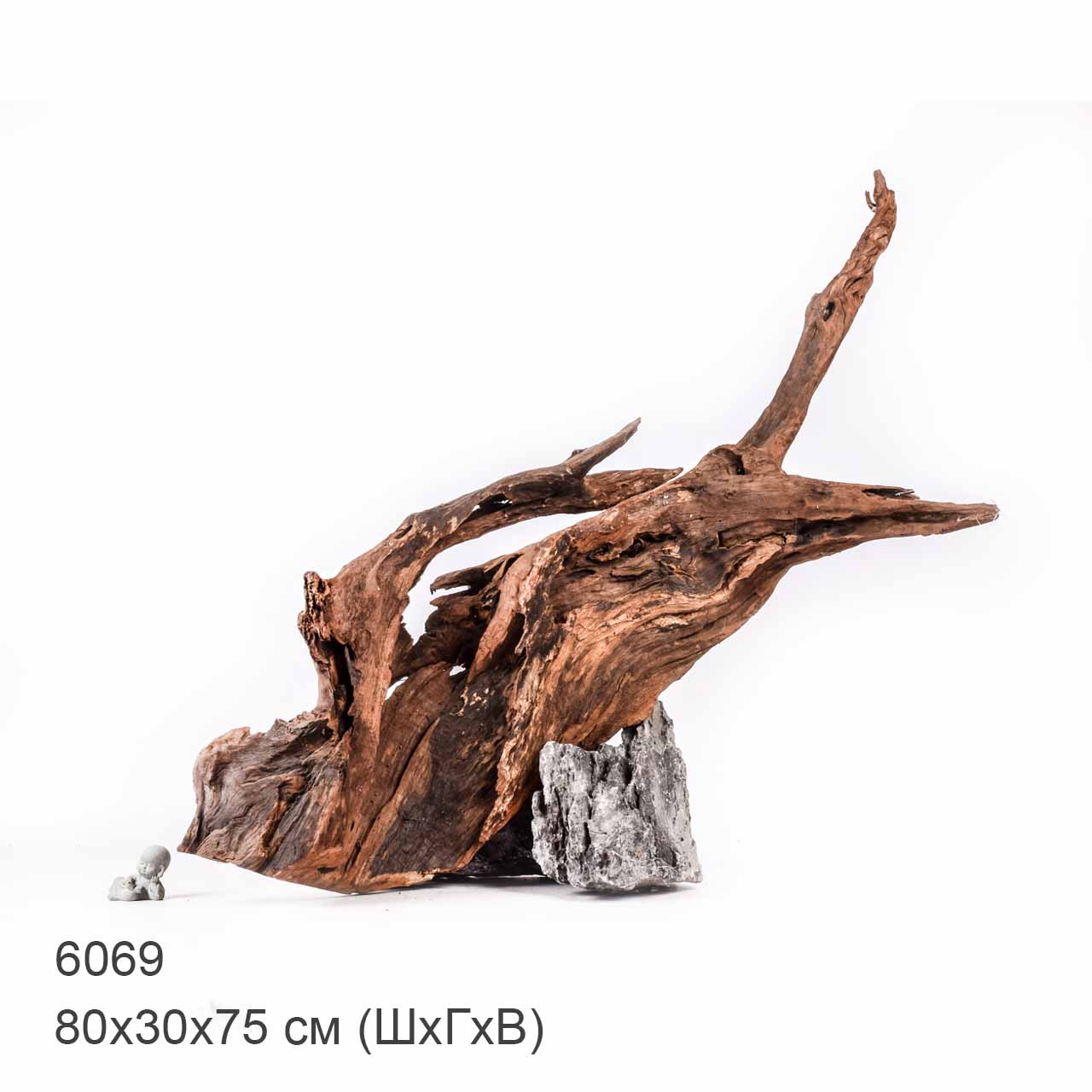 Коряга MASHA BLOOM "Железное дерево" затонувшая мангровая отборная 6069