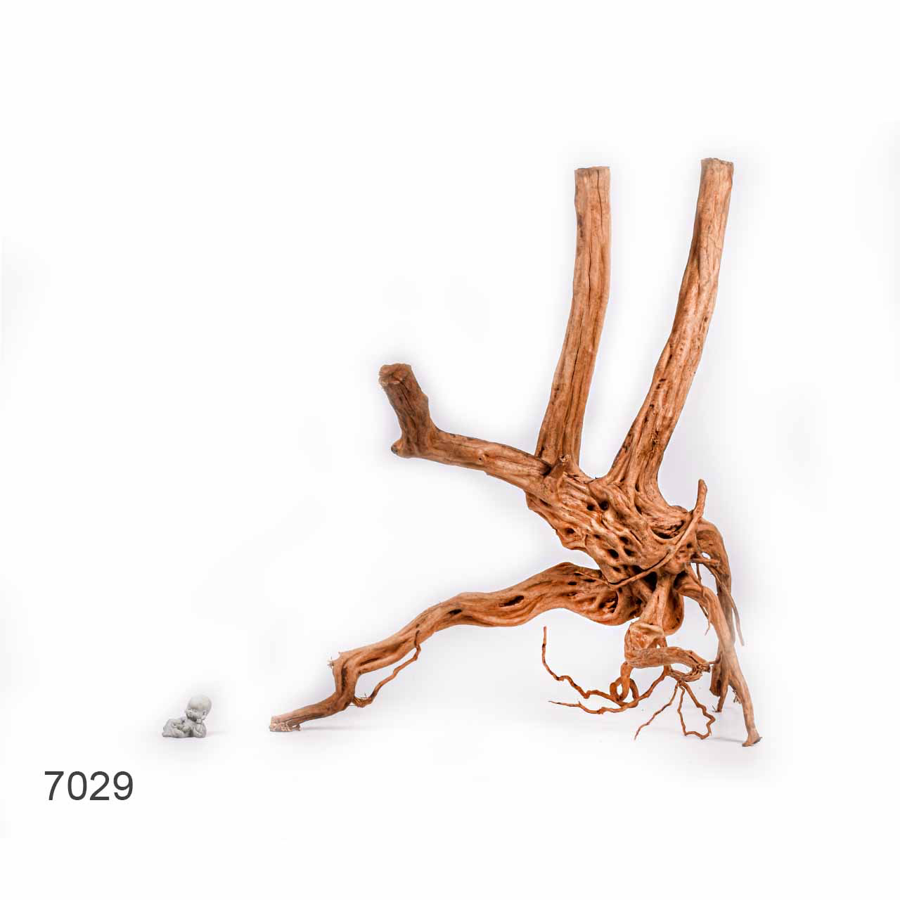 Коряга MASHA BLOOM Пенёчек с корнями 7029