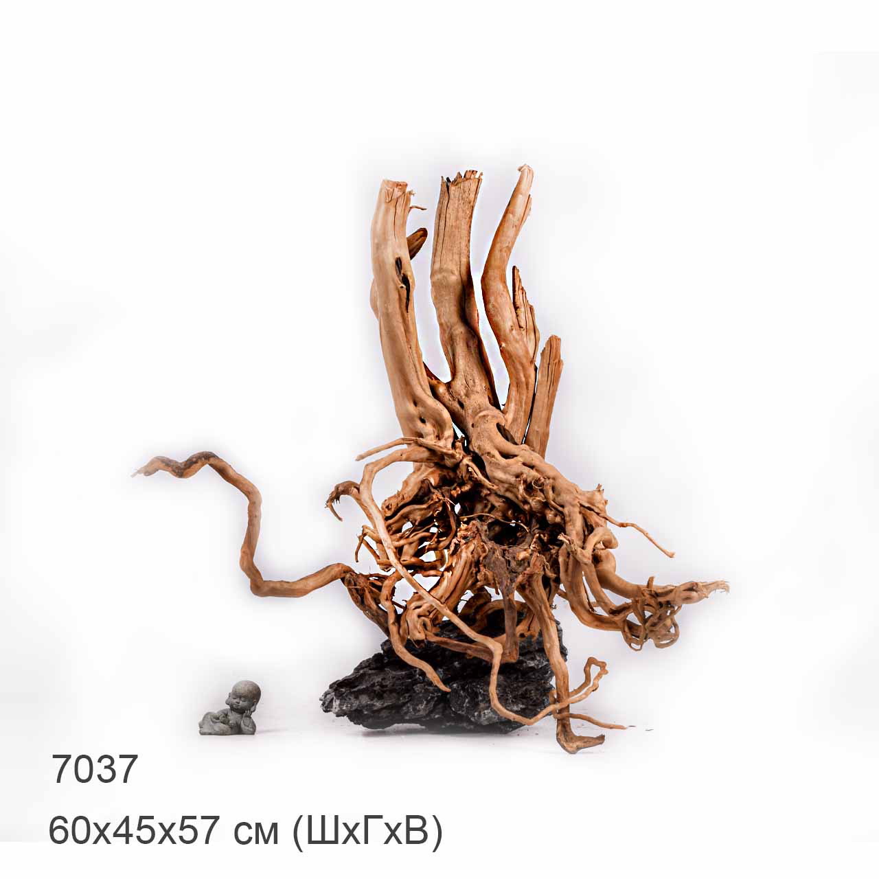 Коряга MASHA BLOOM Пенёчек с корнями 7037