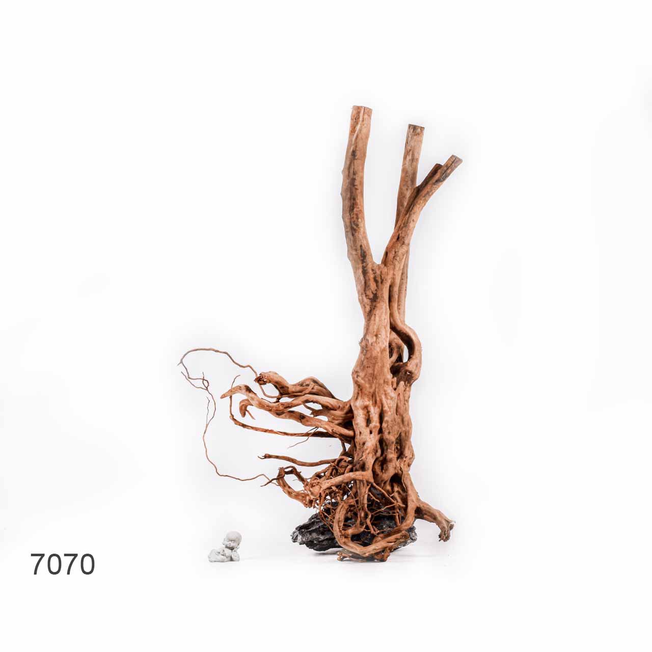 Коряга MASHA BLOOM Пенёчек с корнями 7070