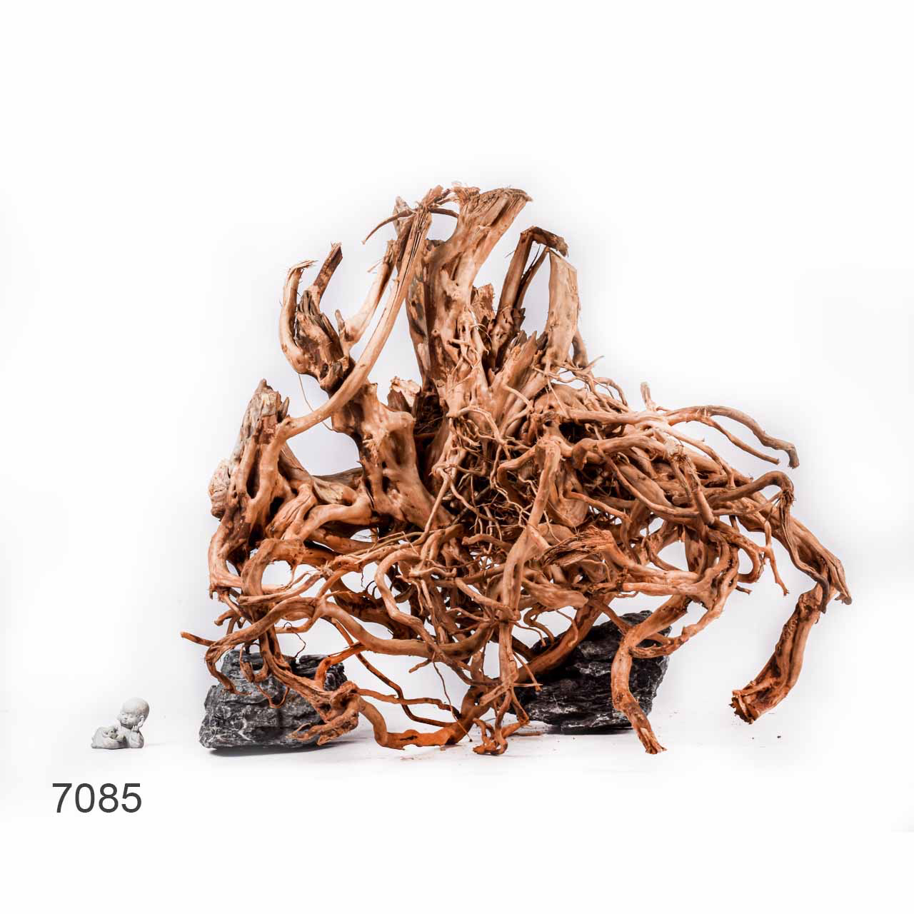 Коряга MASHA BLOOM Пенёчек с корнями 7085