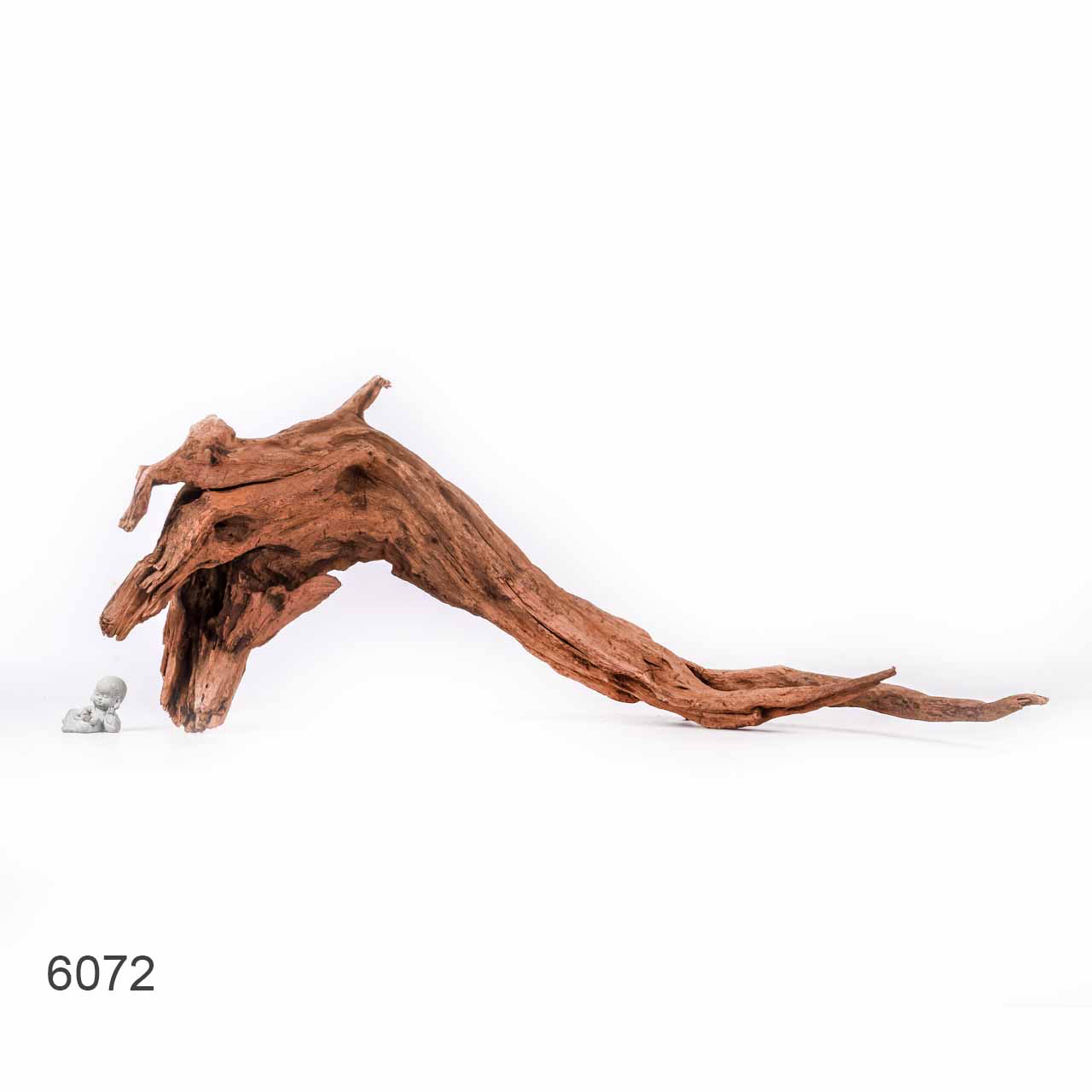 Коряга MASHA BLOOM "Железное дерево" затонувшая мангровая отборная 6072