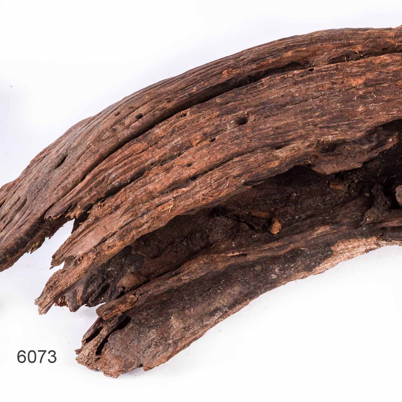 Коряга MASHA BLOOM "Железное дерево" затонувшая мангровая отборная 6073