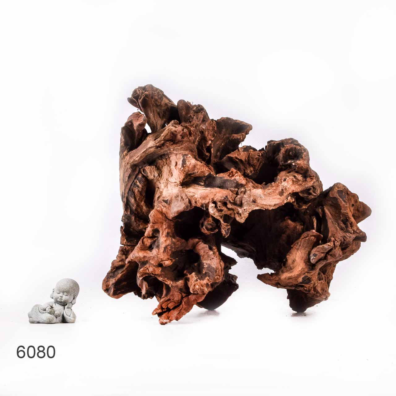 Коряга MASHA BLOOM "Железное дерево" затонувшая мангровая отборная 6080