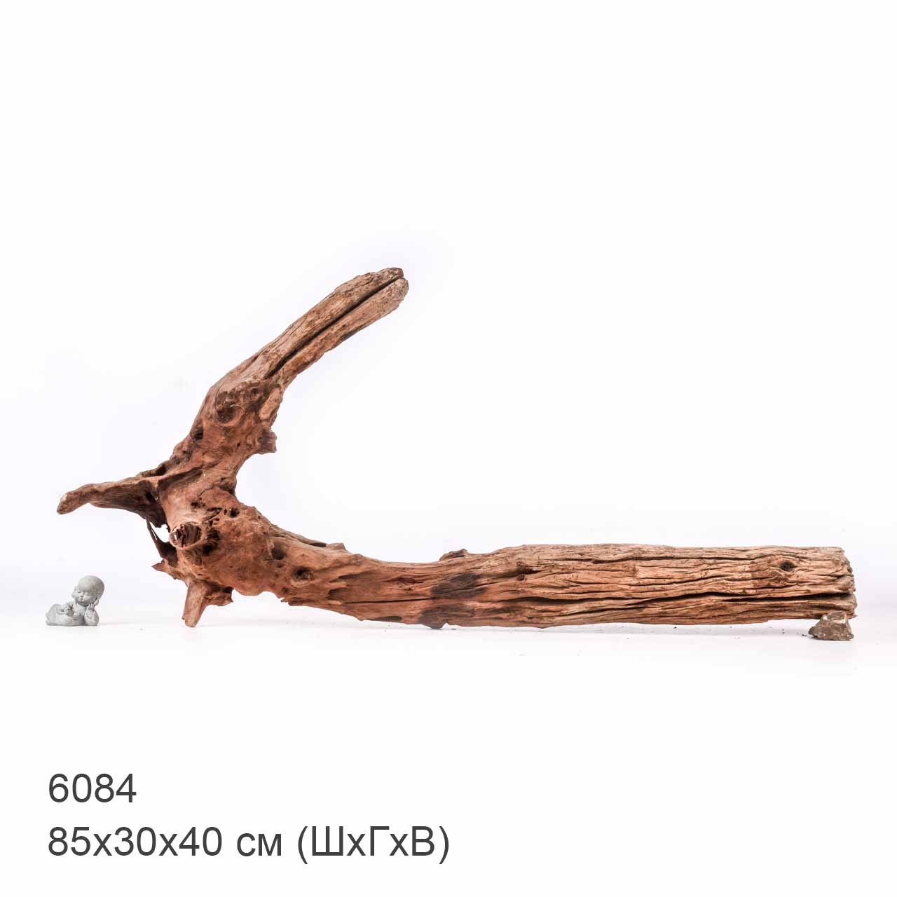 Коряга MASHA BLOOM "Железное дерево" затонувшая мангровая отборная 6084