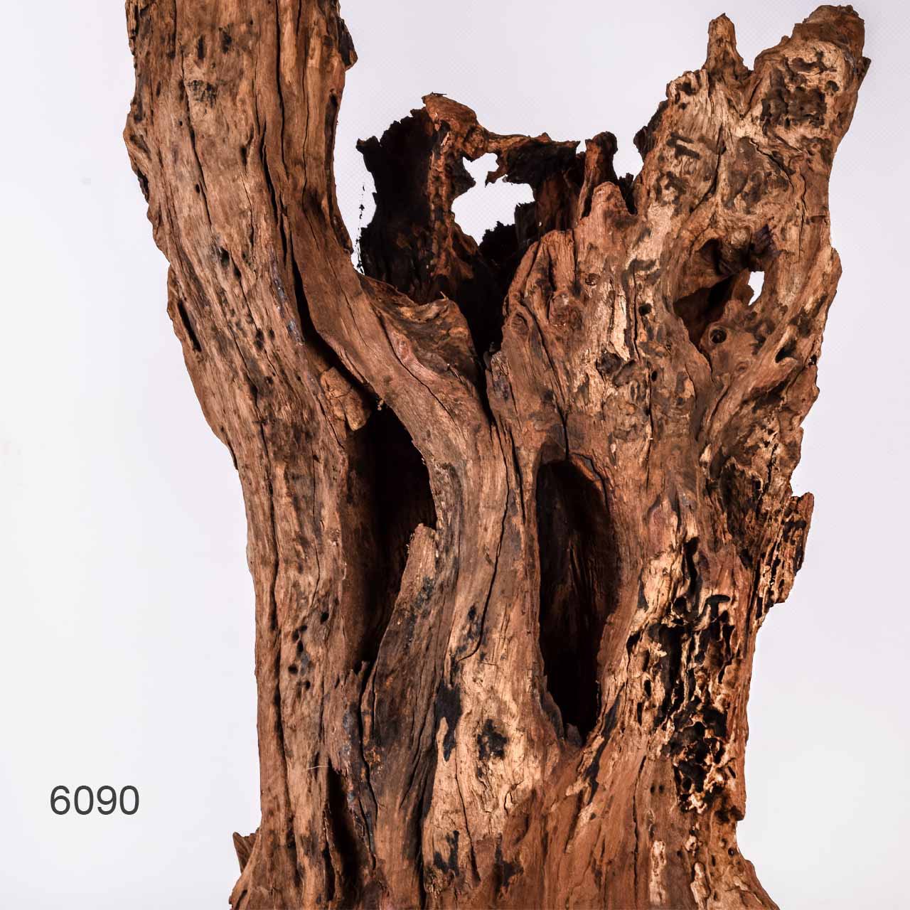 Коряга MASHA BLOOM "Железное дерево" затонувшая мангровая отборная 6090