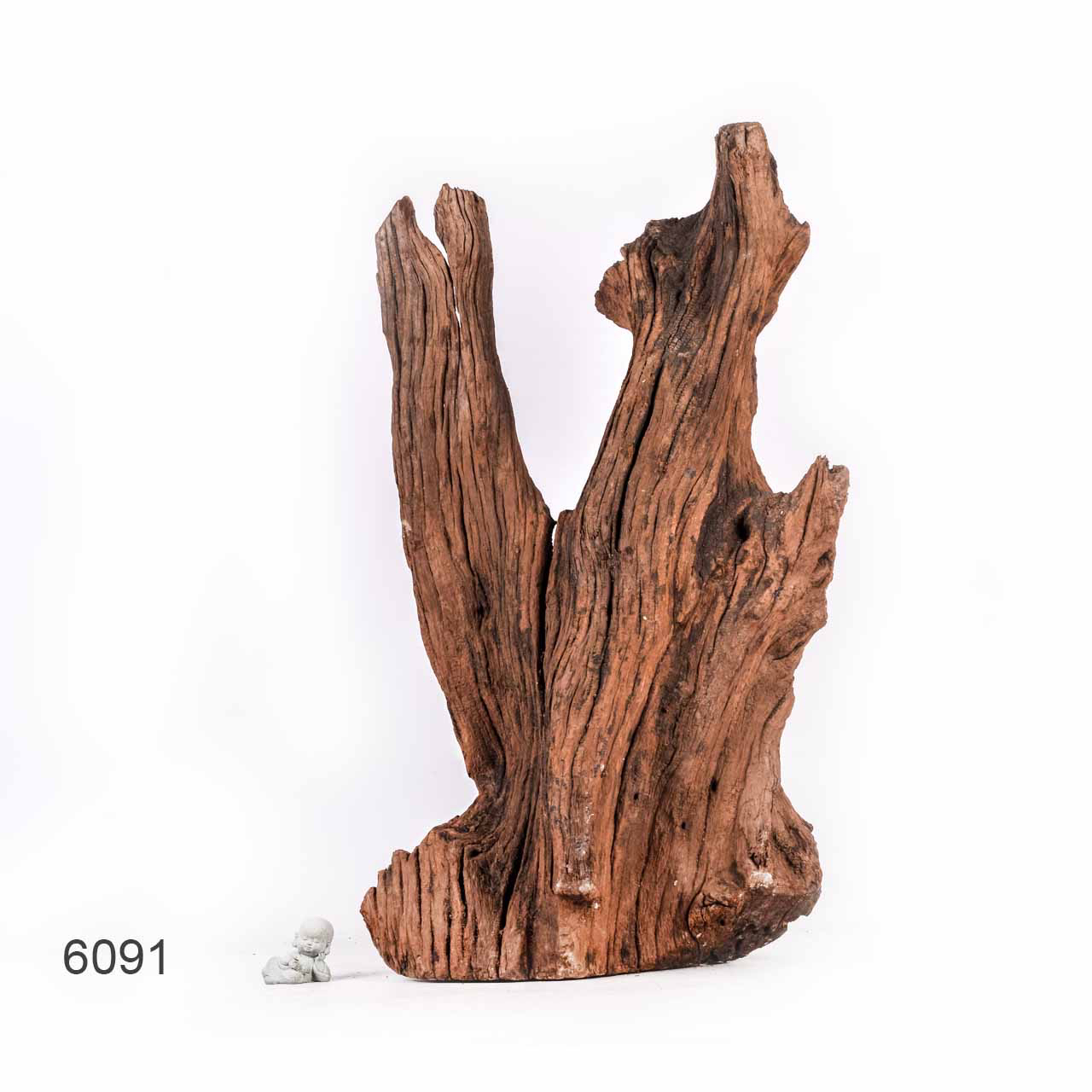 Коряга MASHA BLOOM "Железное дерево" затонувшая мангровая отборная 6091