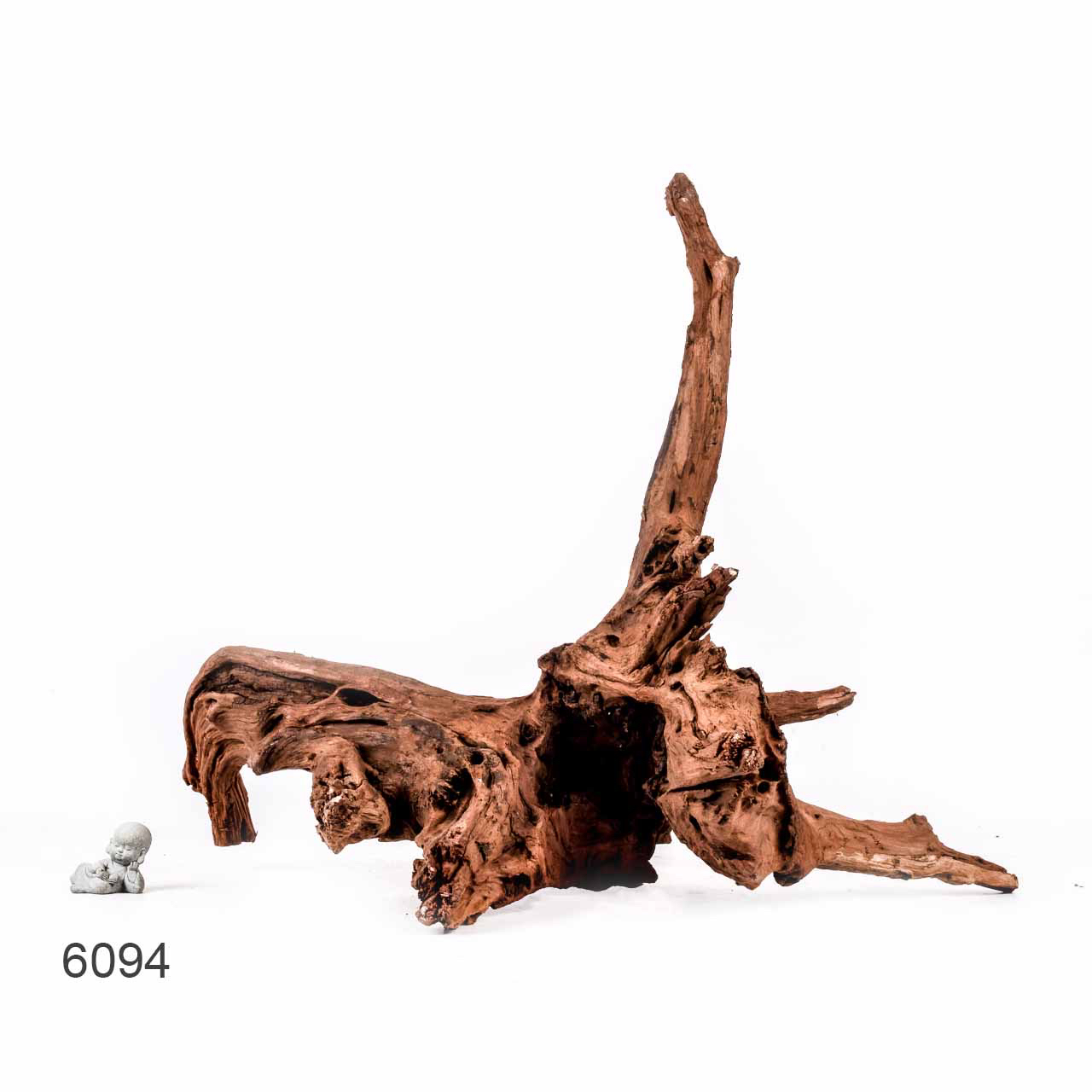 Коряга MASHA BLOOM "Железное дерево" затонувшая мангровая отборная 6094