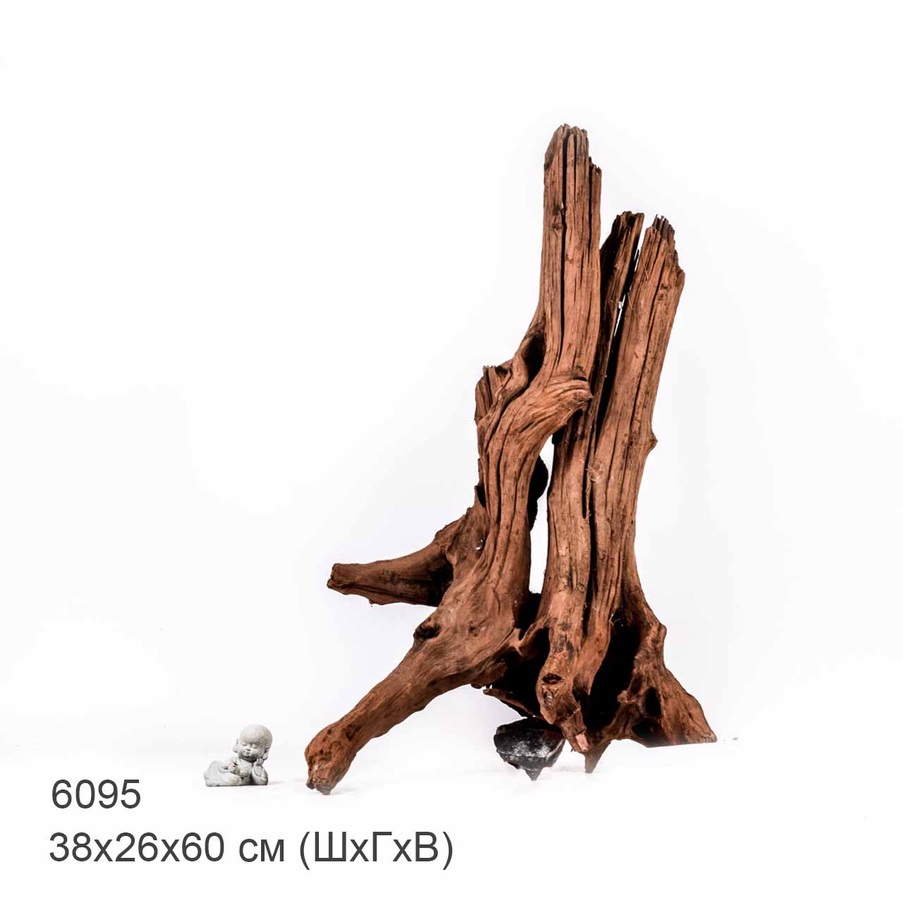 Коряга MASHA BLOOM "Железное дерево" затонувшая мангровая отборная 6095